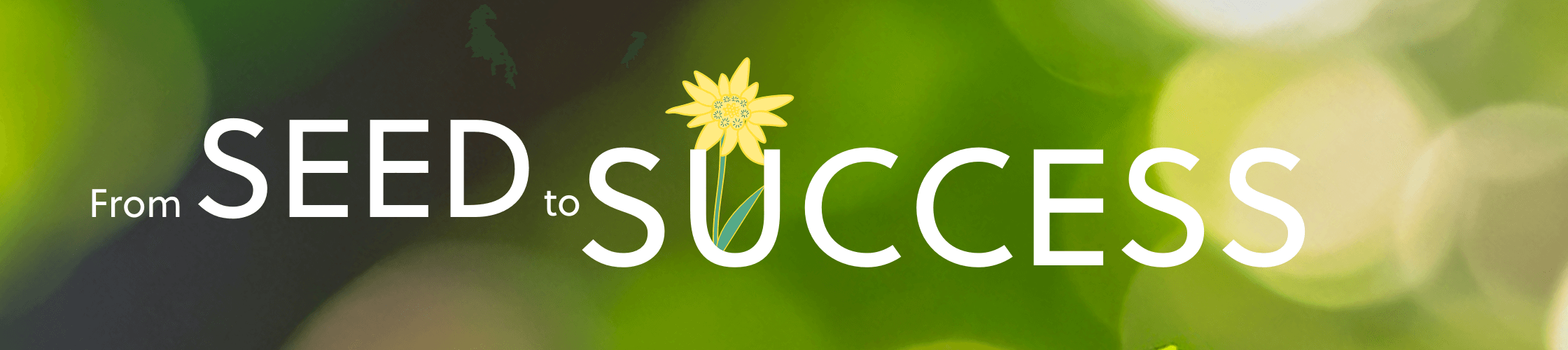 From Seed to Success