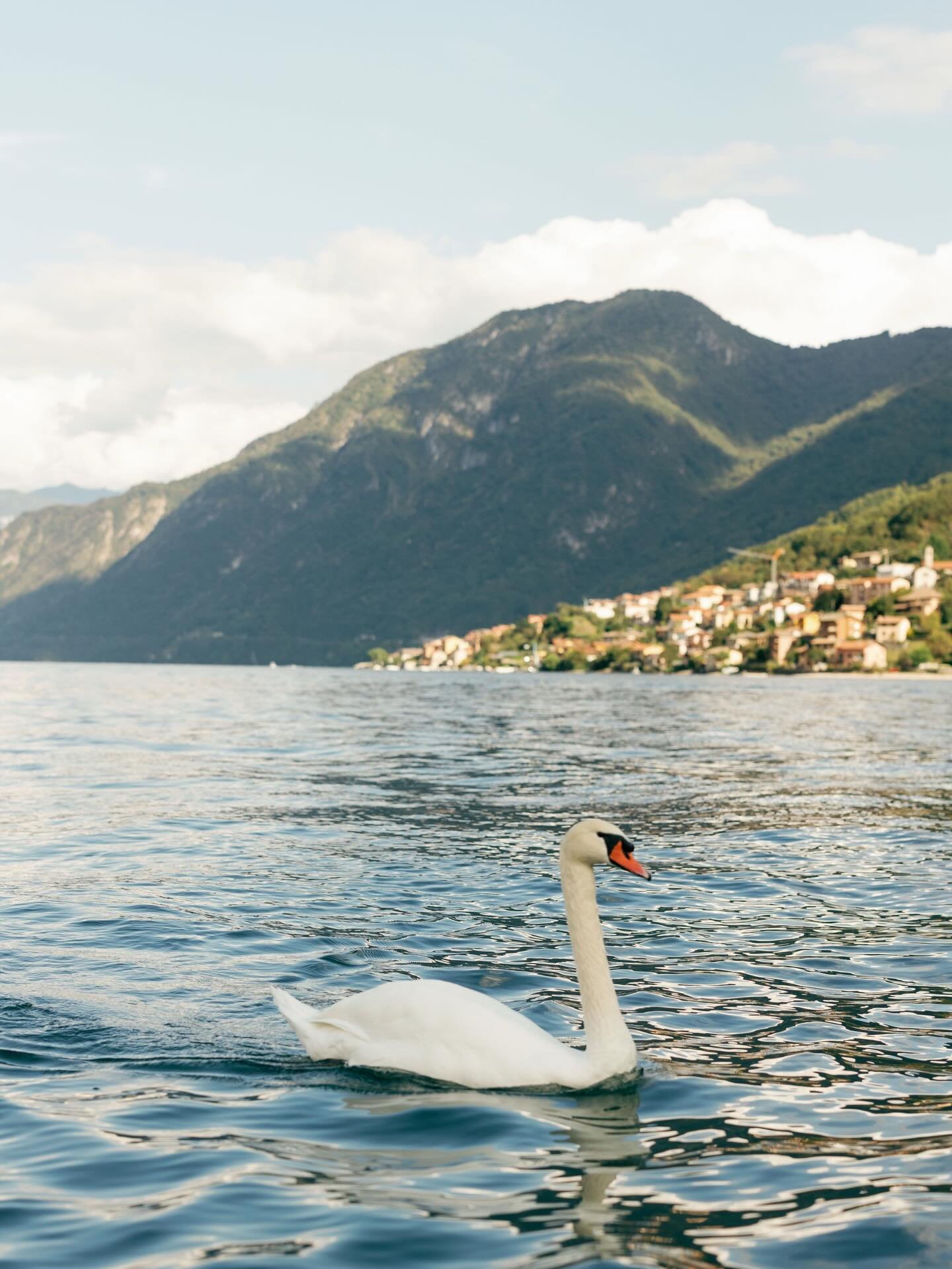 Dreaming of a Como summer 🩵⛰️🌊
-
#weddingphotographers #destinationweddingphotographers #weddinginspo