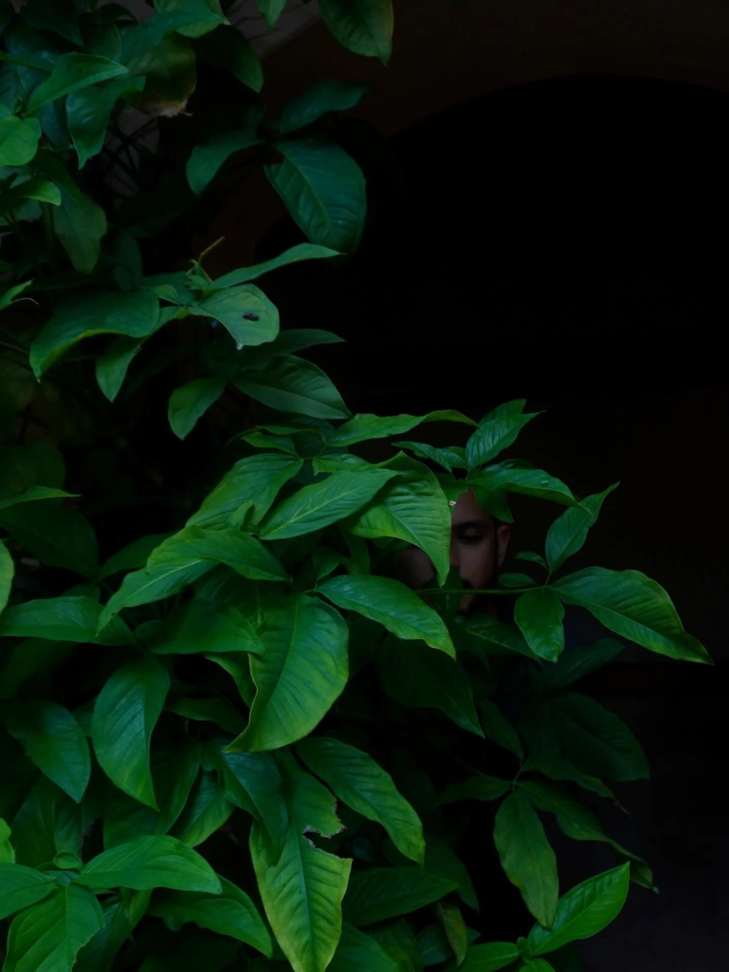 The epicenter of our home has, and always will be, the Aangon (Konkani for courtyard). An open roof to let the elements in, a bed to stargaze under the galaxies, a coconut-shell oven to bake bebinca. Our vision grows alongside the moss, cracks, and r