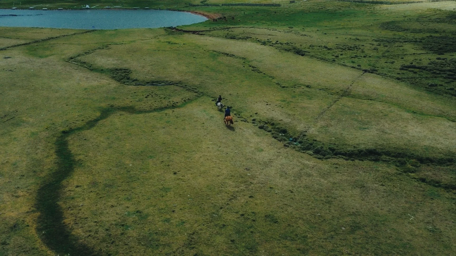 Still 2026-01-10 224619_1.1.3.jpg