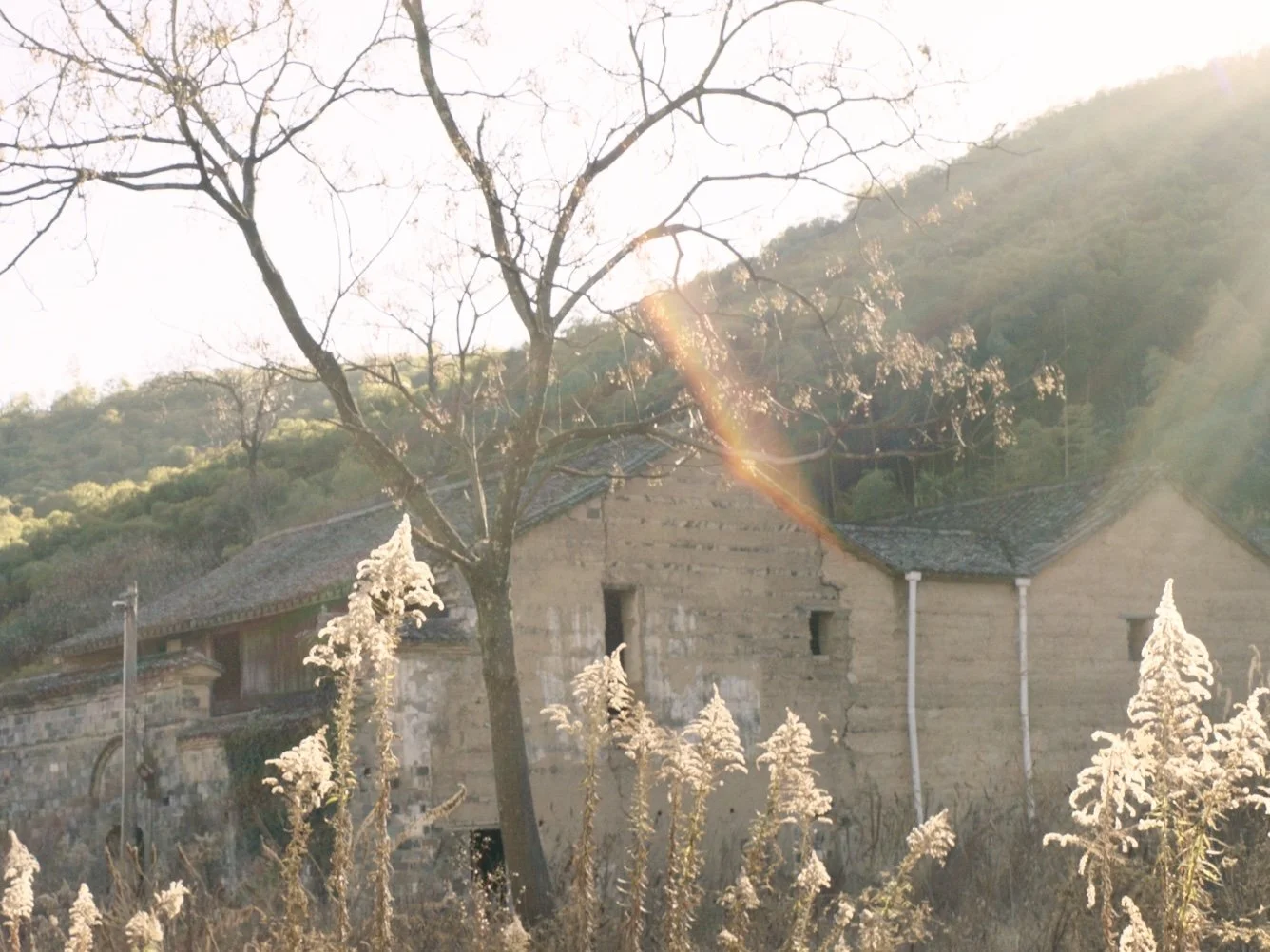 Still 2026-01-03 193816_1.65.1.jpg