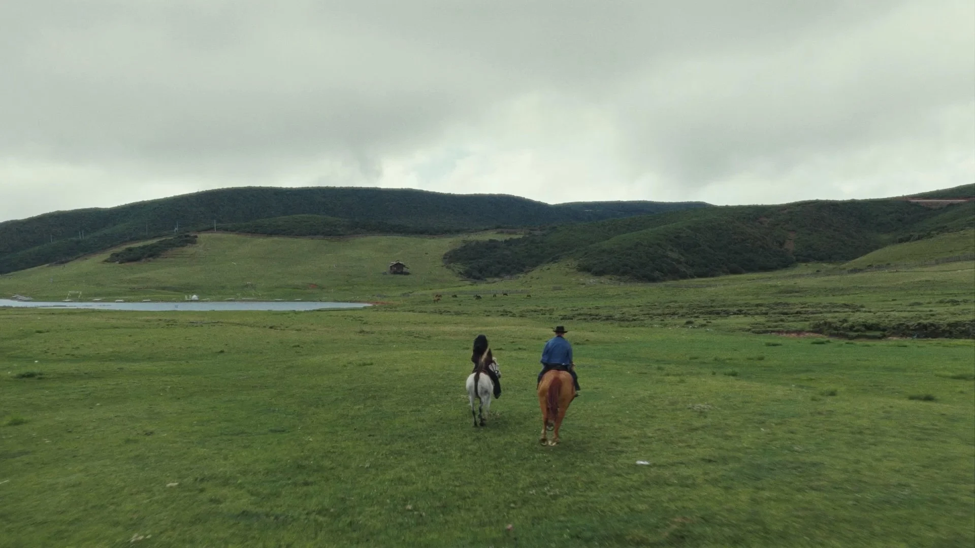 Still 2026-01-10 224619_1.1.9.jpg