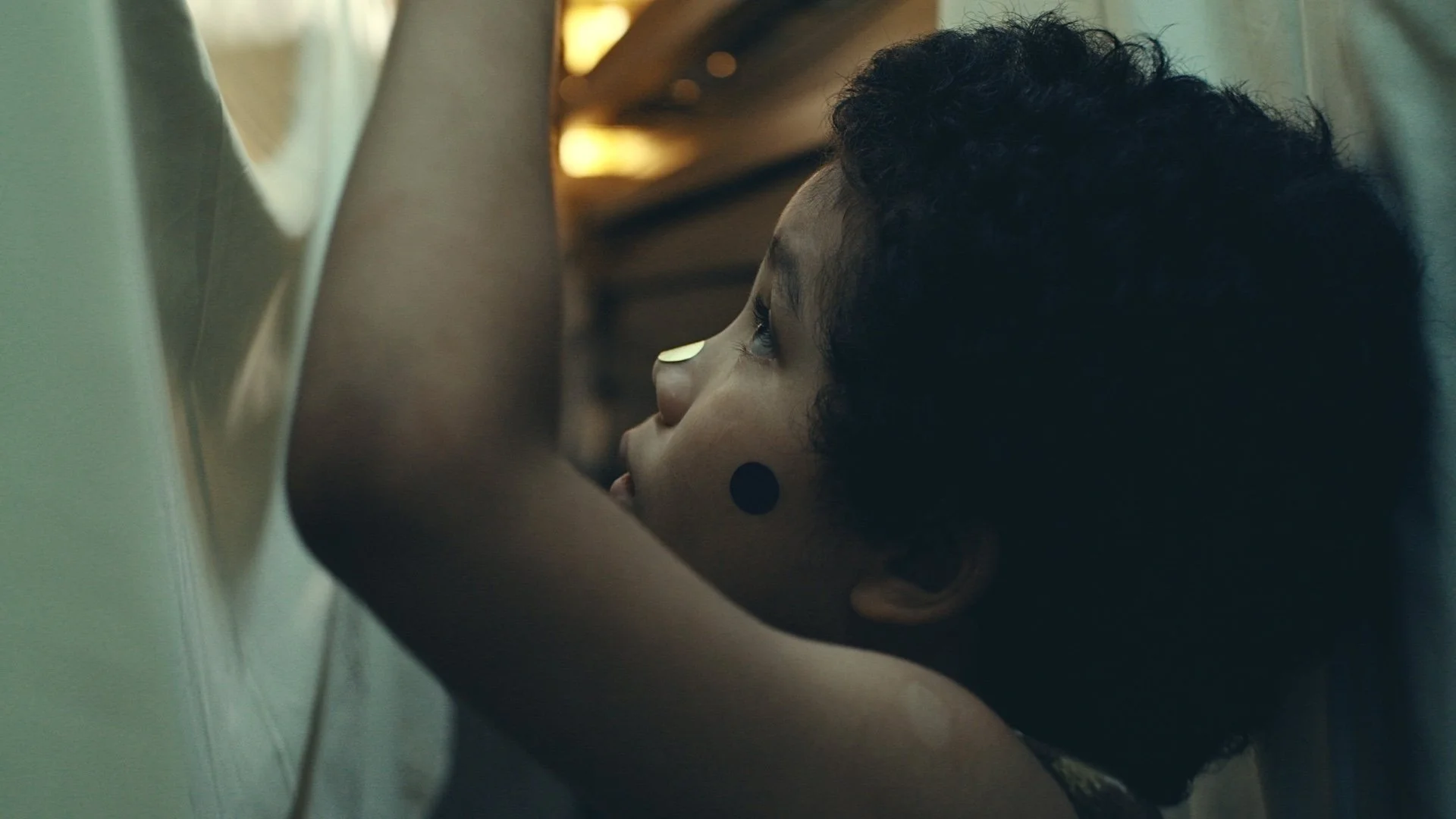 Still 2026-01-27 150515_1.3.1.jpg