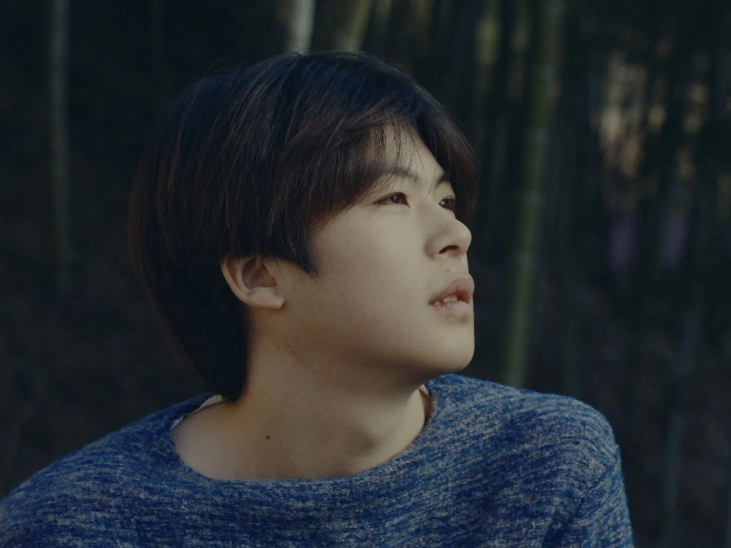 Still 2026-01-02 155225_1.27.1.jpg