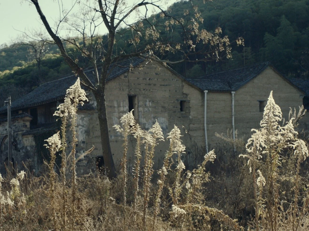 Still 2026-01-02 155225_1.64.1.jpg