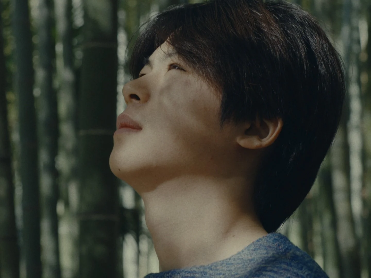 Still 2026-01-02 155225_1.2.4.jpg