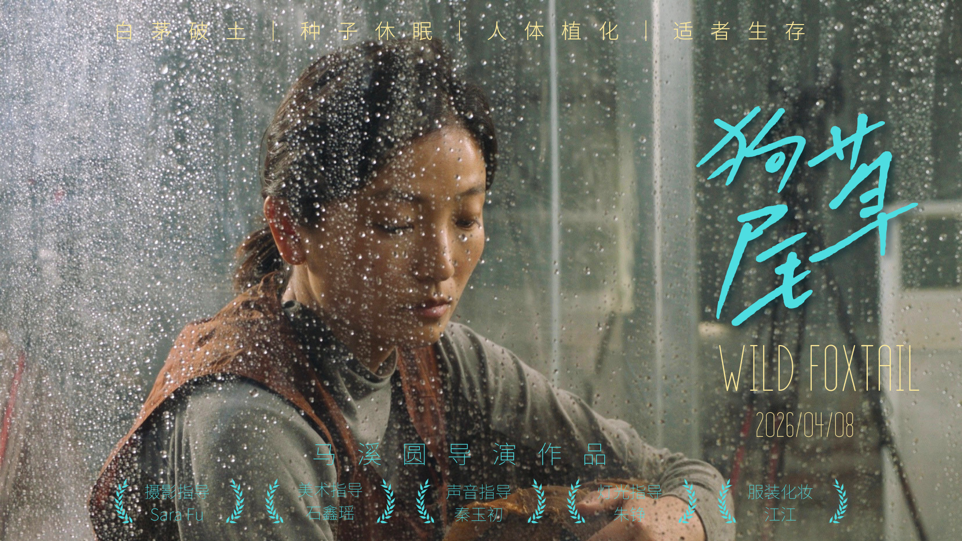 狗尾草矫正.png