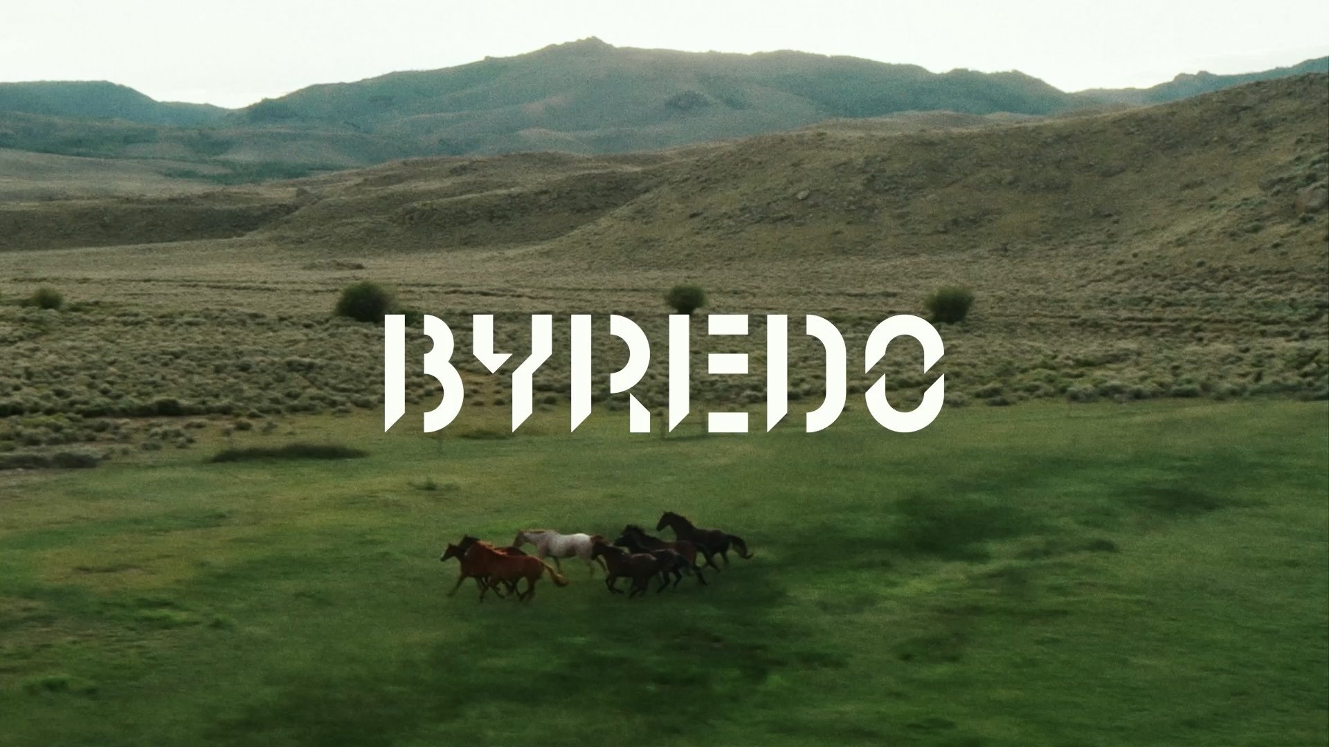 Still 2026-01-10 224619_1.1.1.jpg