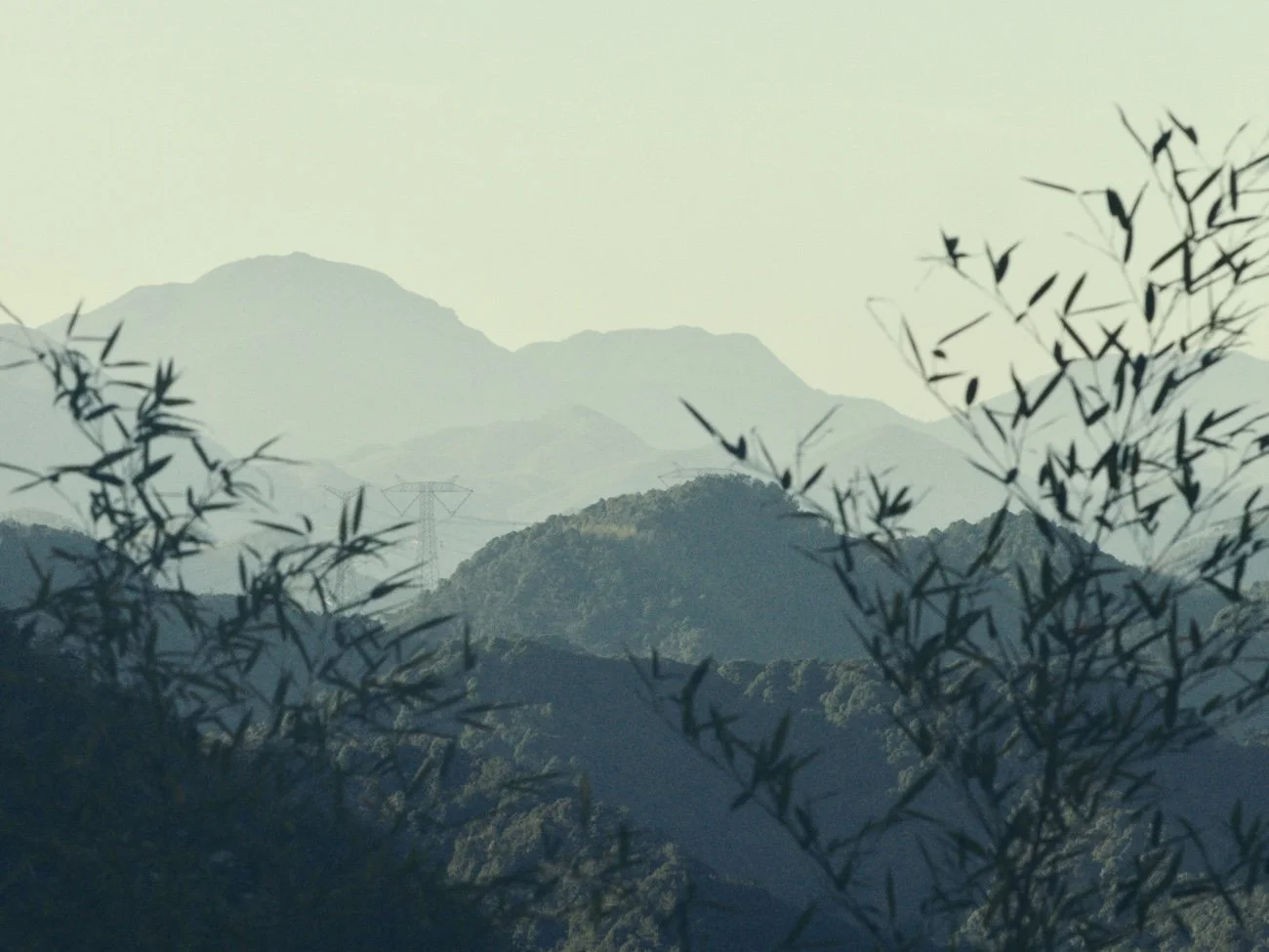 Still 2026-01-03 193816_1.68.1.jpg