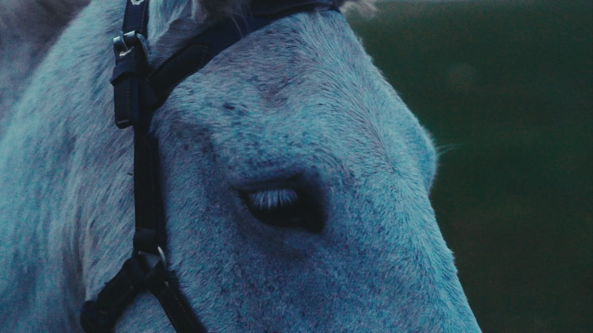 Still 2026-01-10 224619_1.2.2.JPG