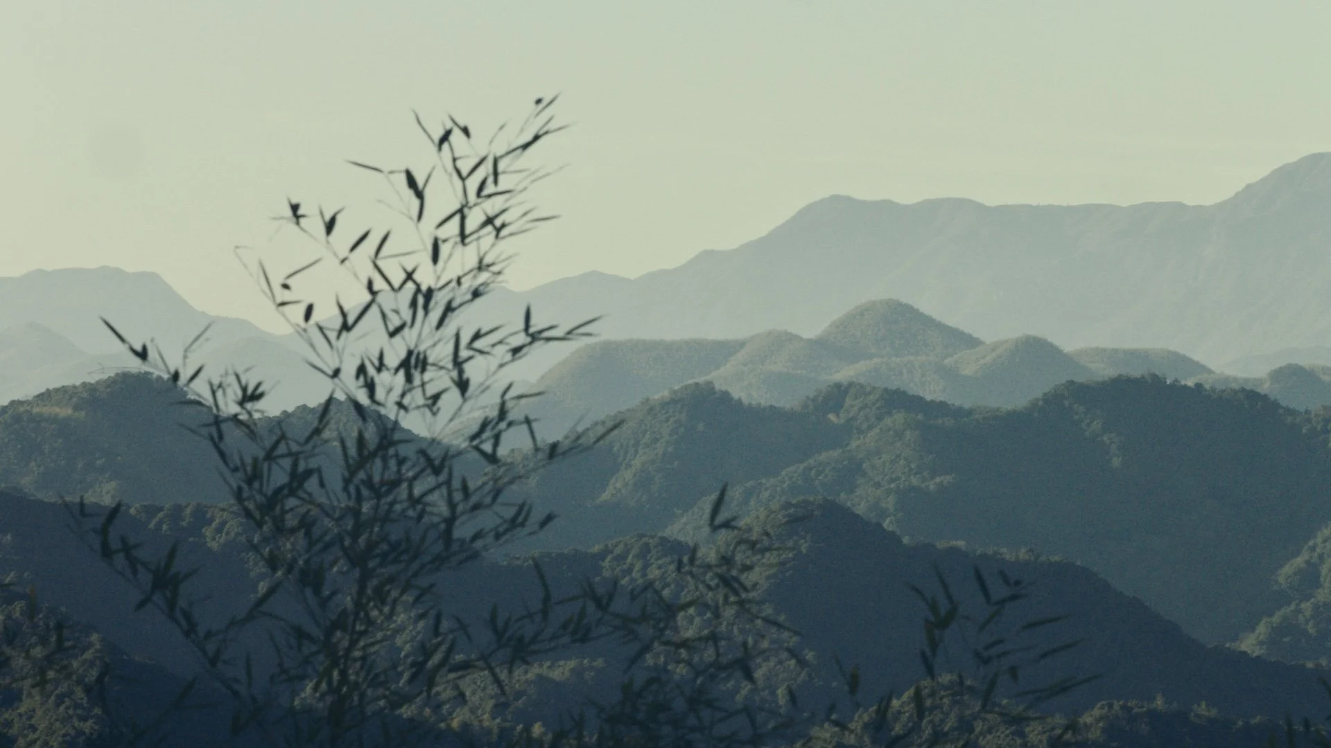 Still 2026-01-03 193816_1.68.2.jpg