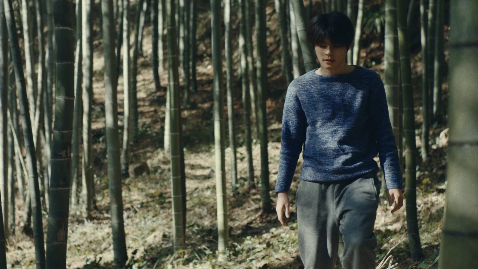 Still 2026-01-02 155225_1.8.1.jpg