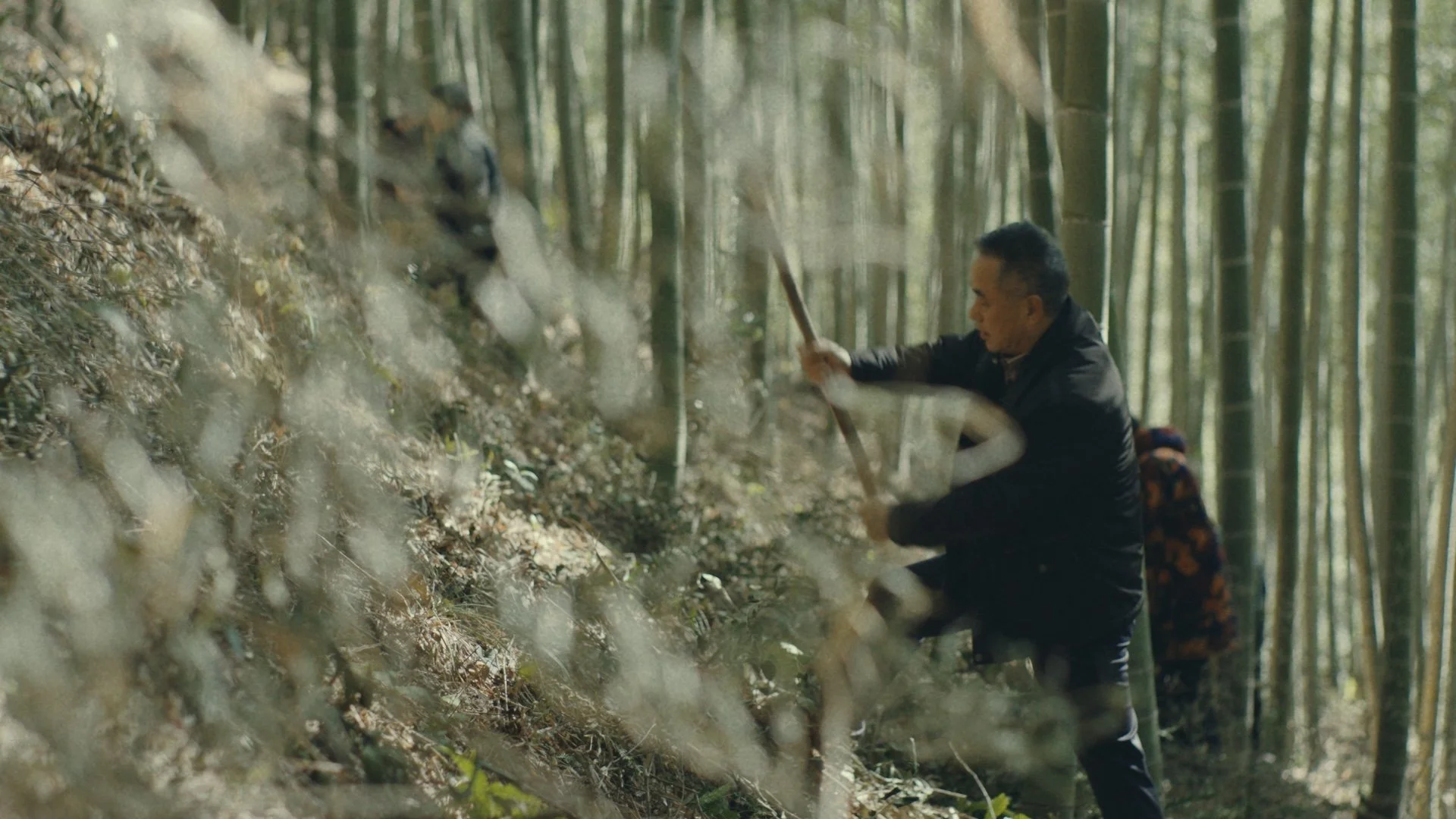 Still 2026-01-02 155225_1.17.2.jpg