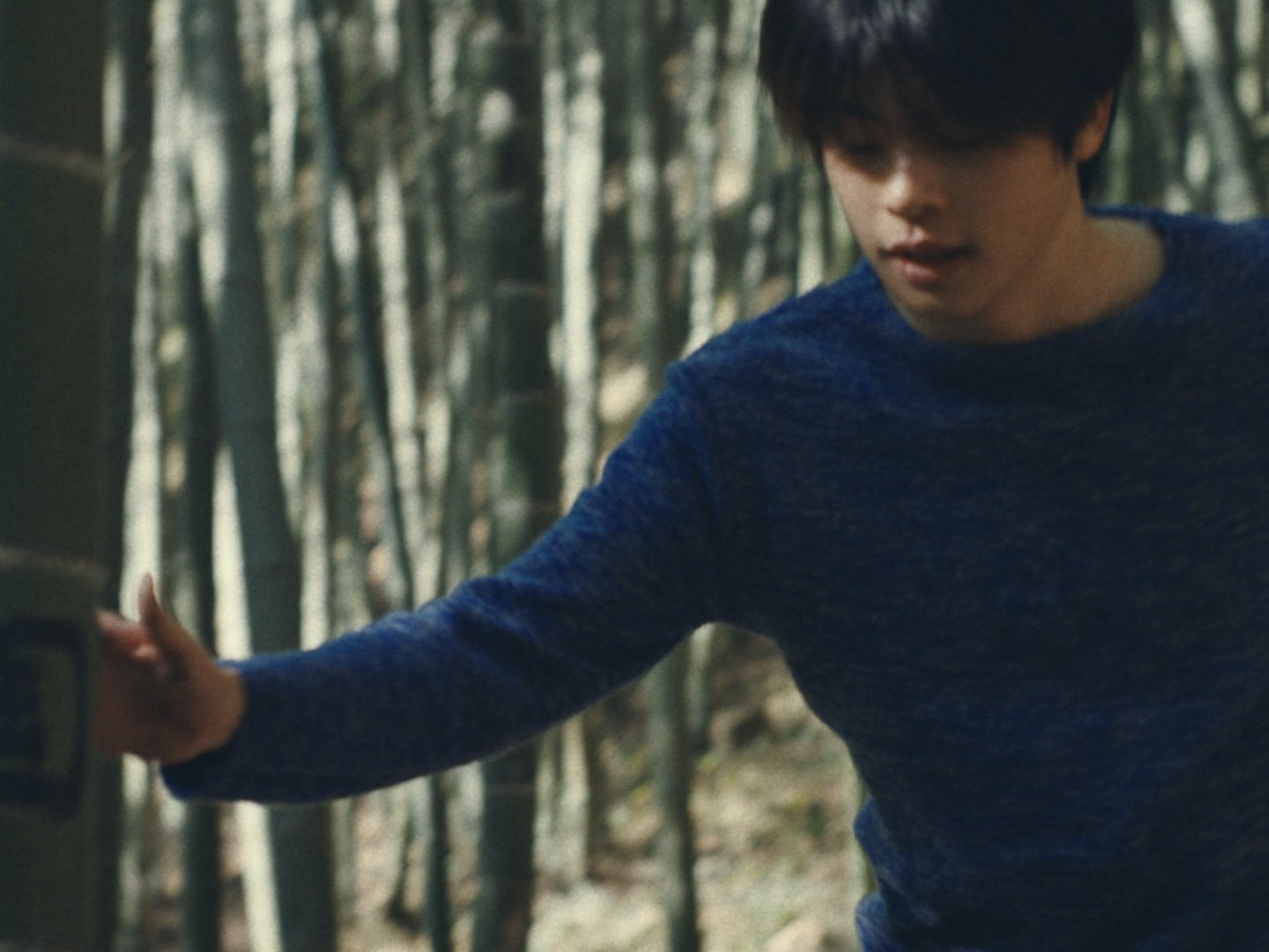 Still 2026-01-02 155225_1.8.2.jpg