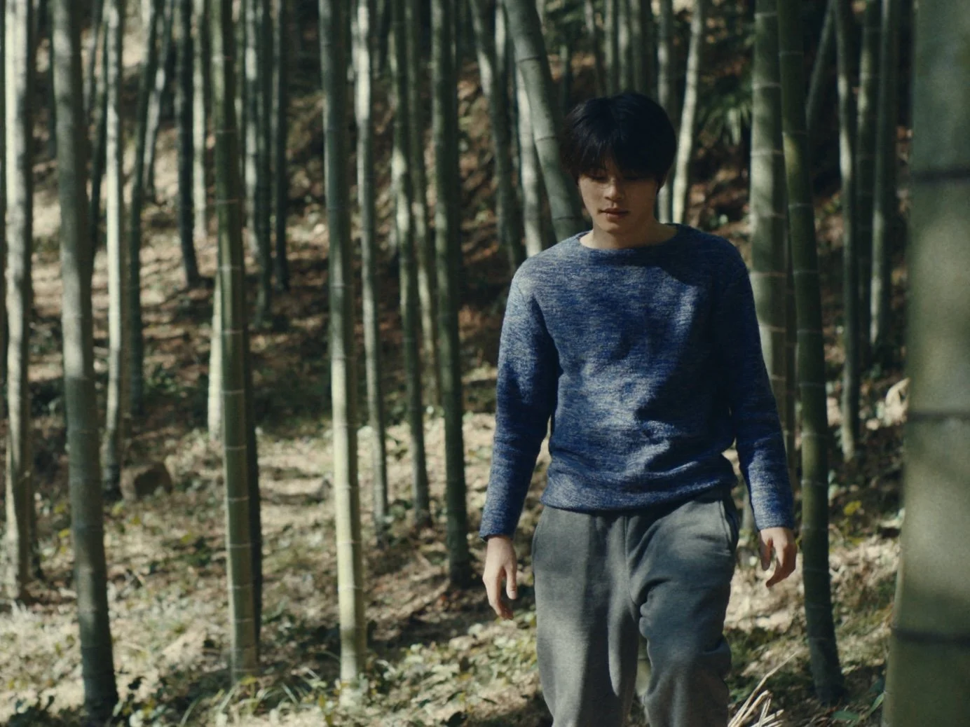 Still 2026-01-02 155225_1.8.1.jpg