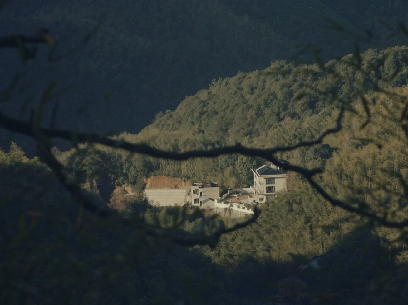 Still 2026-01-02 155225_1.67.1.jpg