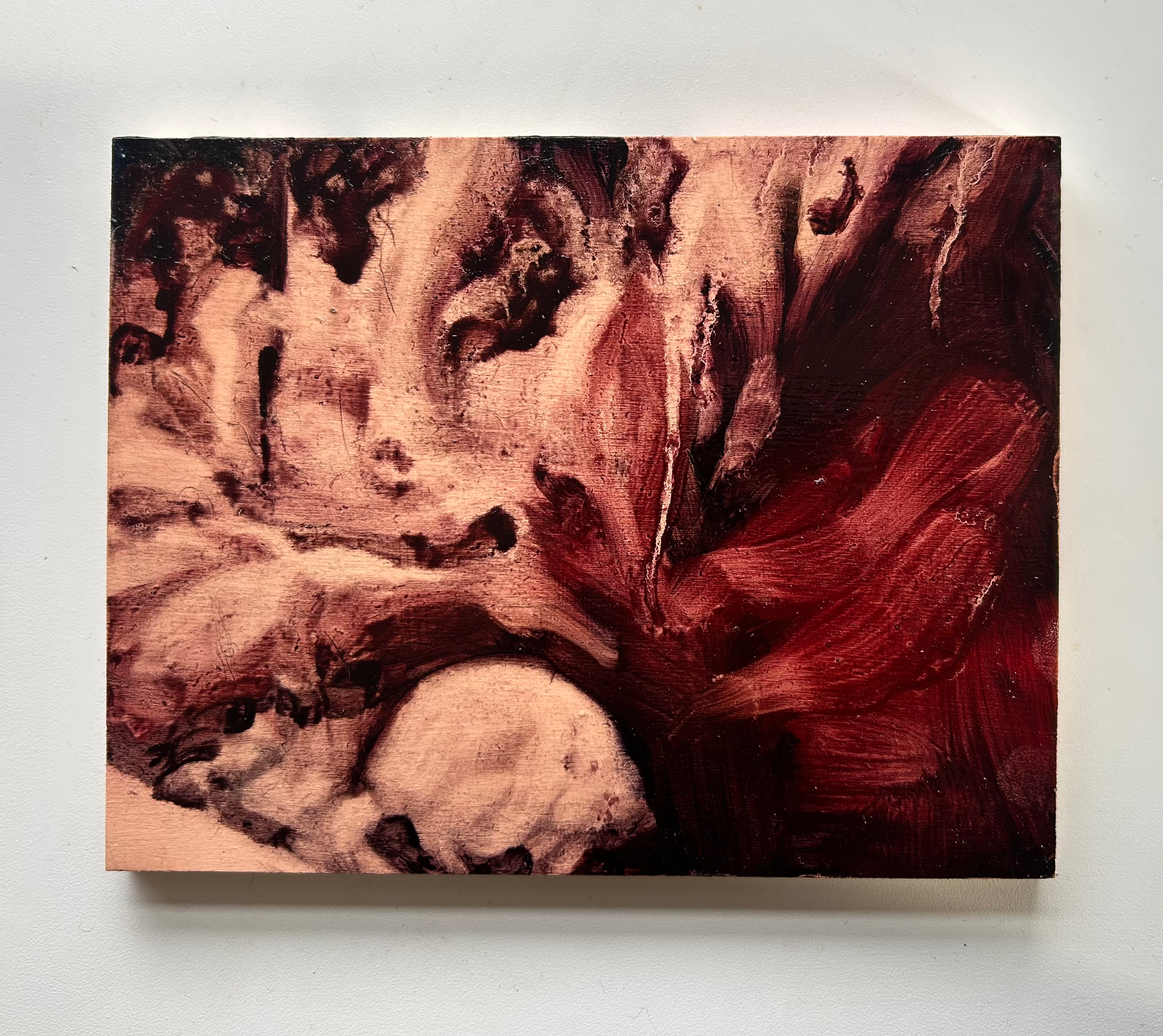 Echo, 2026, oil on board, 14 x 17cm