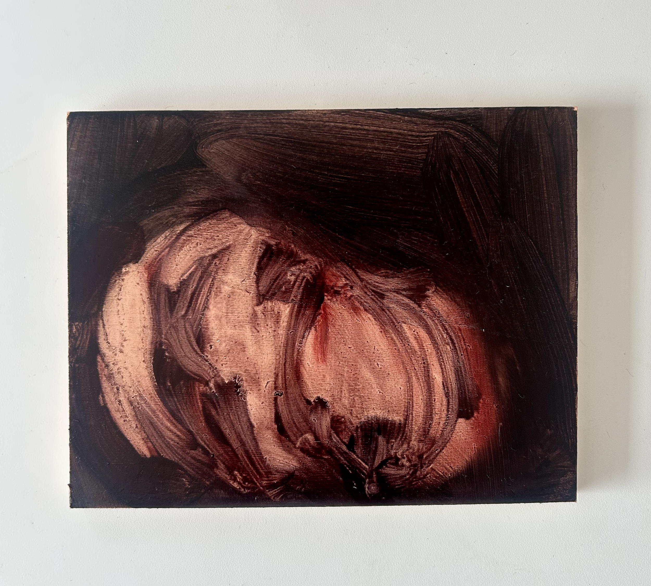 Hover, 2026, oil on board, 14 x 17cm
