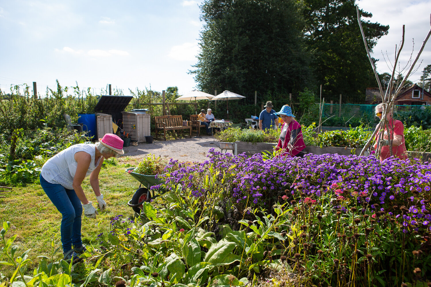 In Jolly Good Company's Step Outside Gardening Group at Kingston Lacy