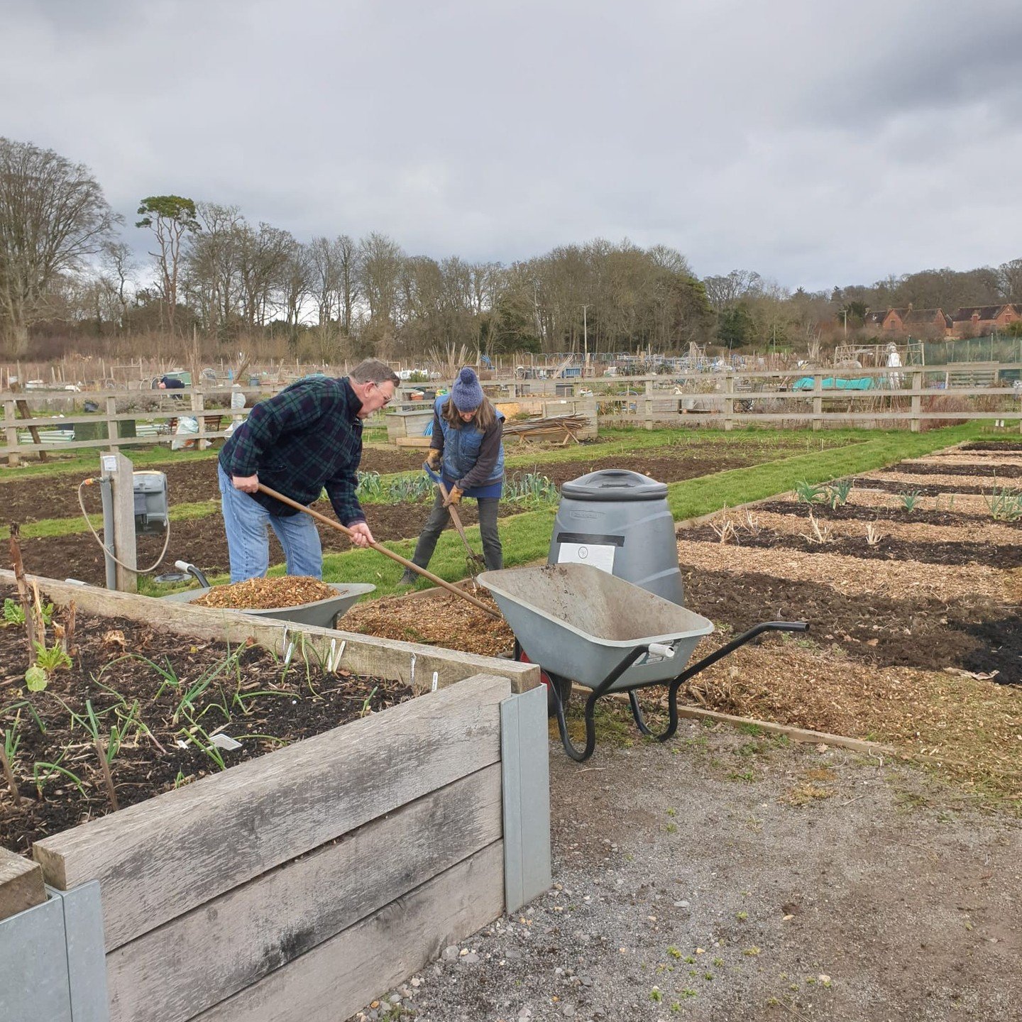 The winter volunteers hard at work at In Jolly Good Company's allotment.jpg