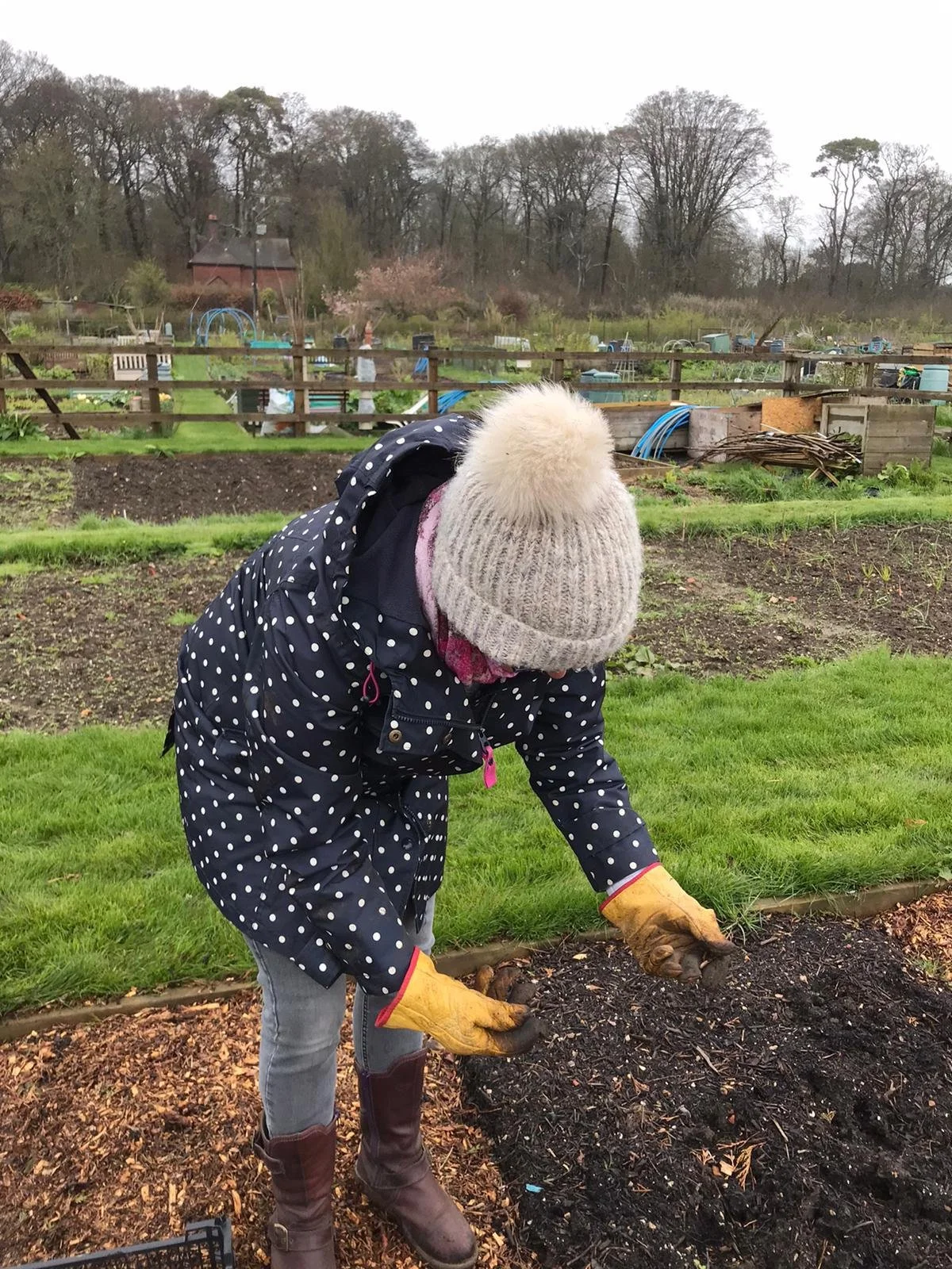 Fiona planiting potatoes at Step Outside allotment.jpeg