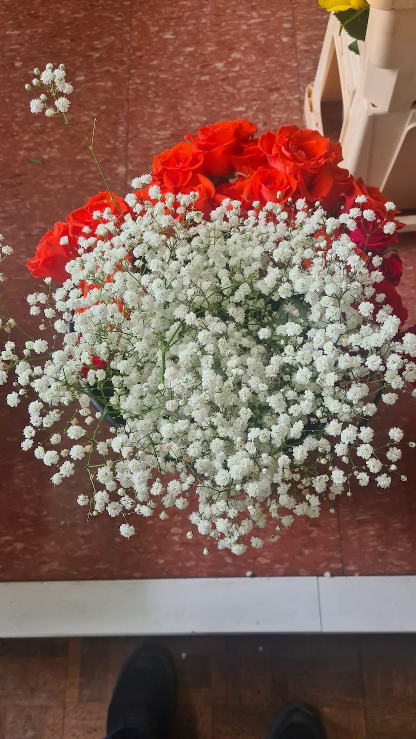 Red roses and gypsophila