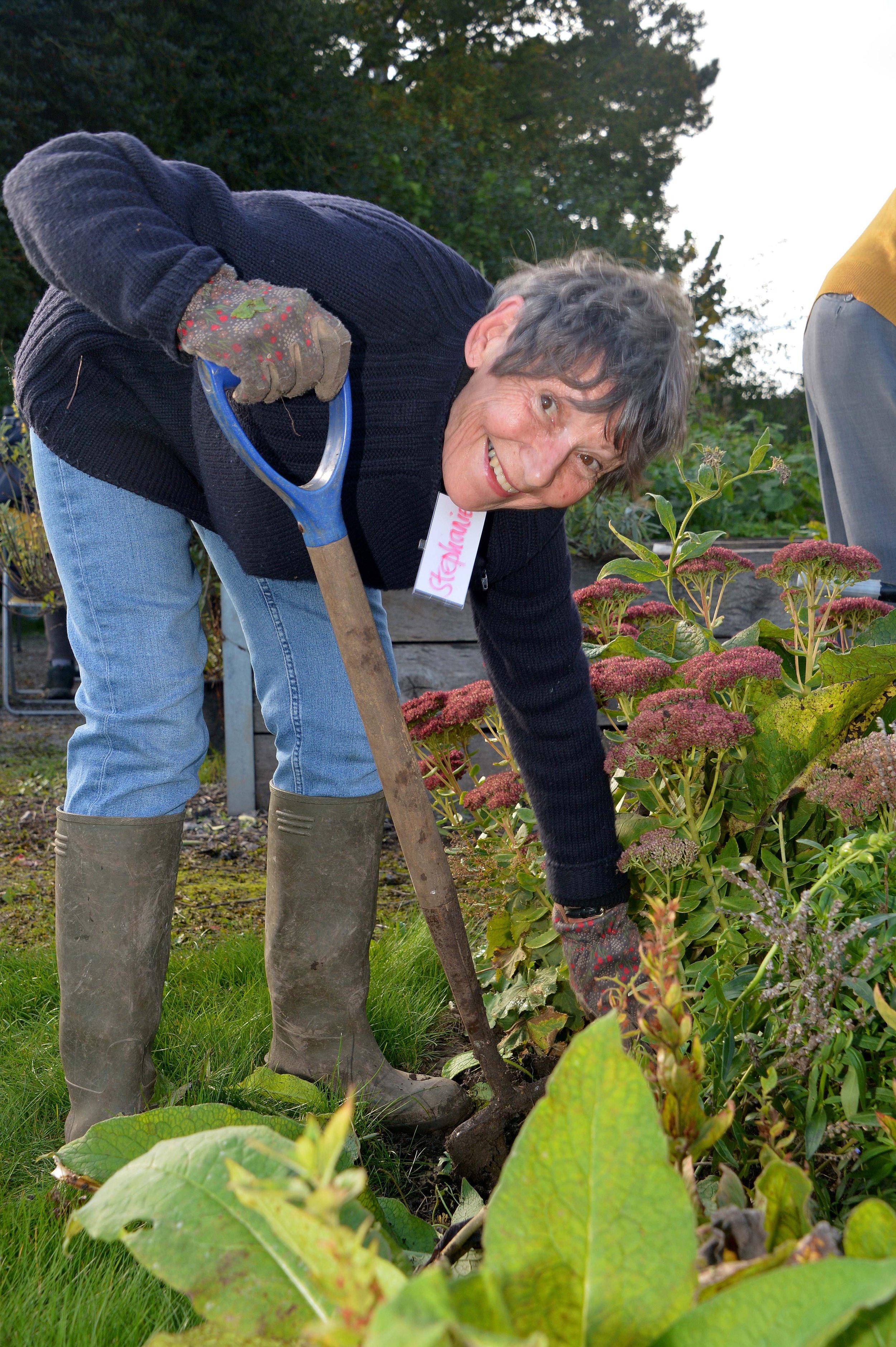 Step Outside Garden Group - In Jolly Good Company - digging.jpg
