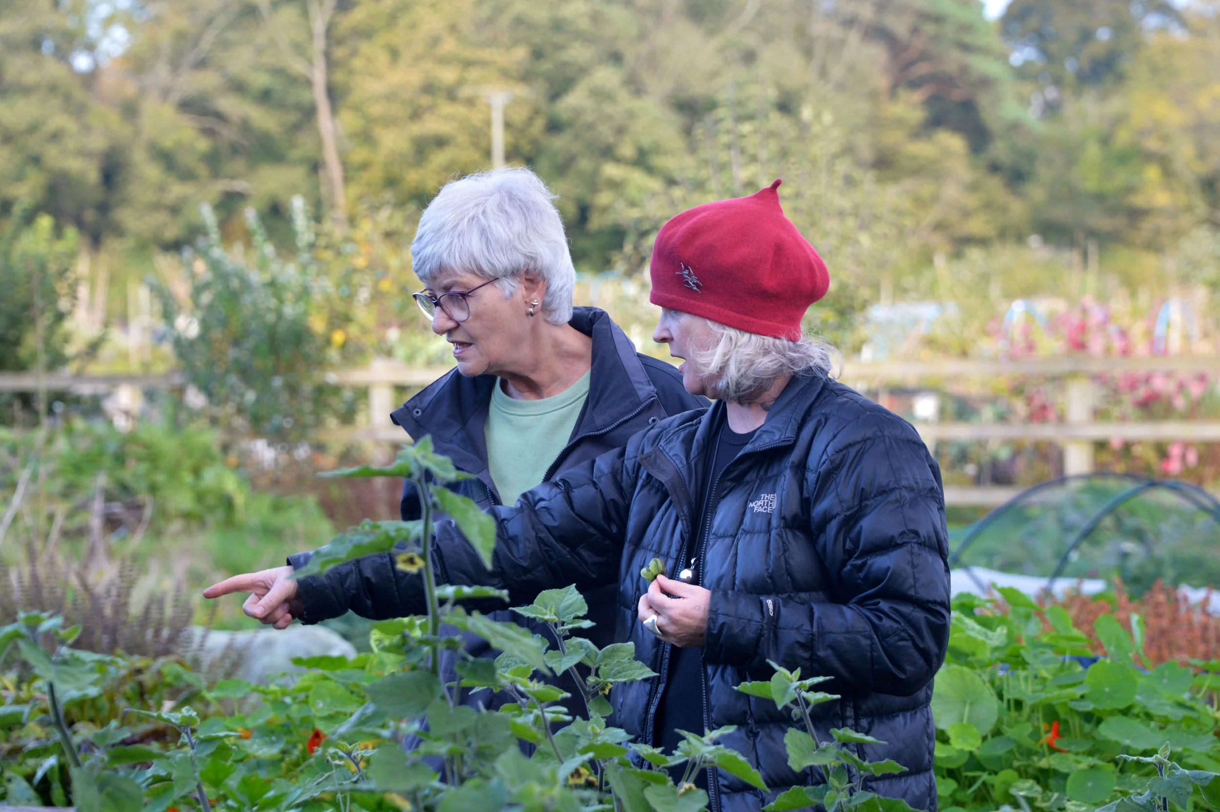 Step Outside Garden Group - In Jolly Good Company - Kate Sheridan.jpg