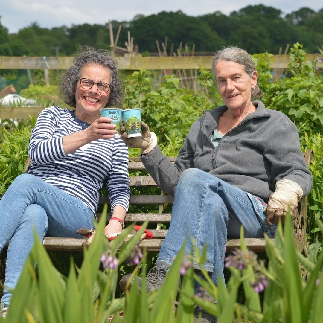 Dorset Tea visit Step Outside Garden Group.jpg