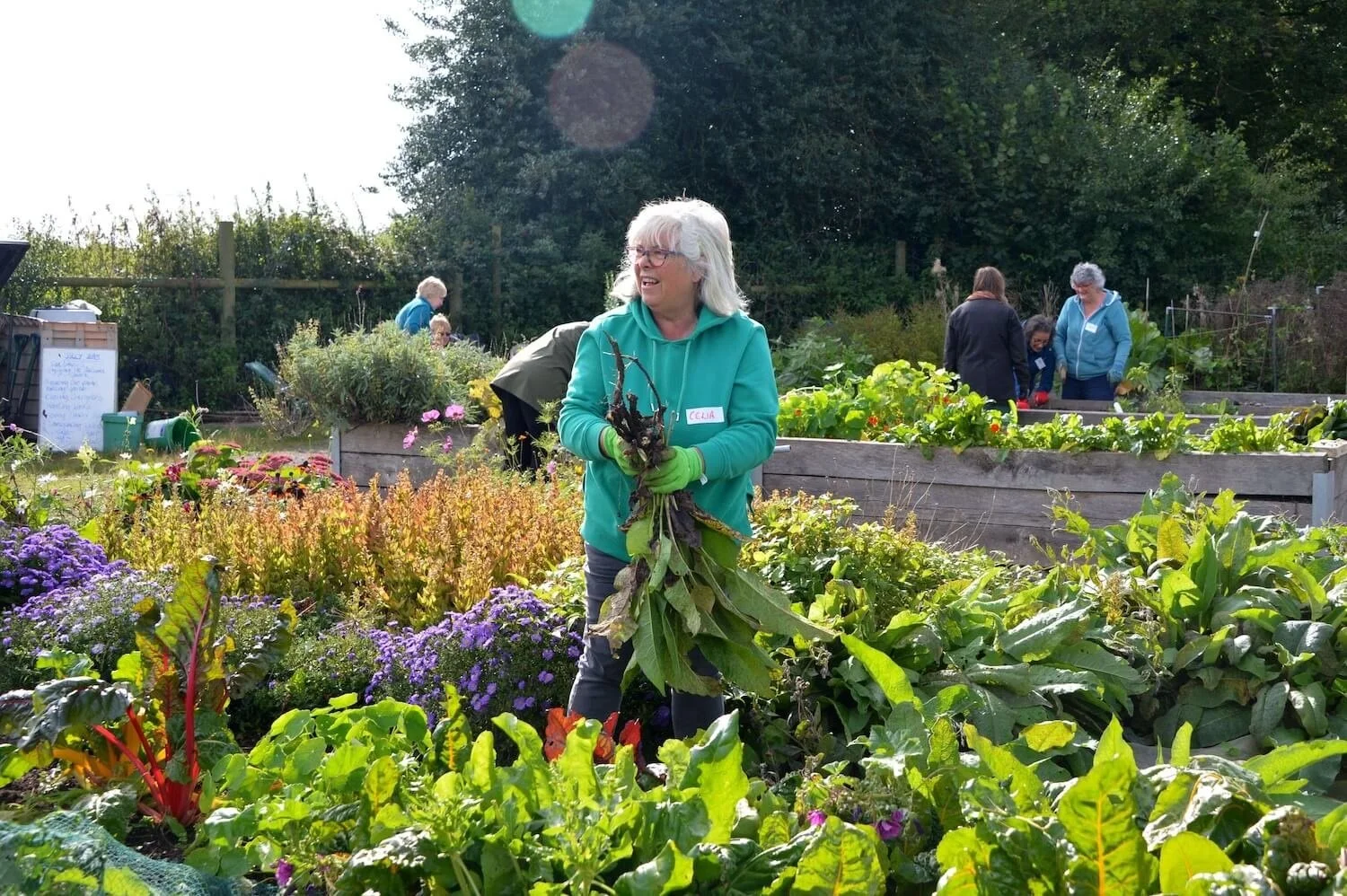 Step Outside Gardening Group 1.jpg