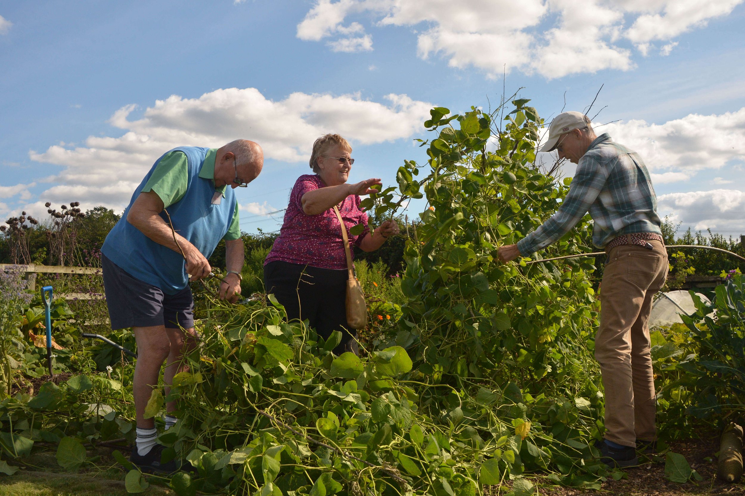 Step Outside Gardening Group 10.jpg