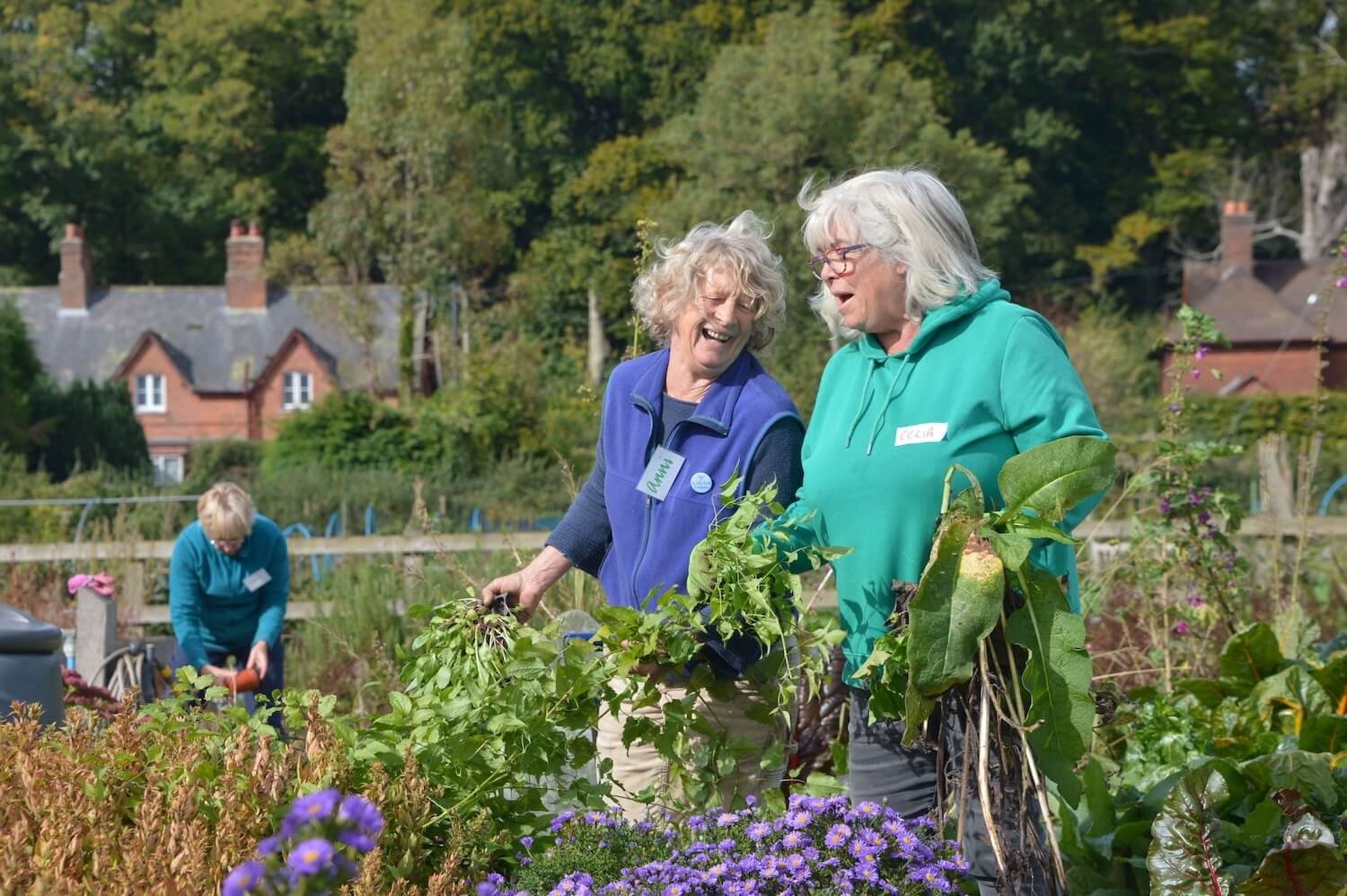 Step Outside Gardening Group 14.jpg