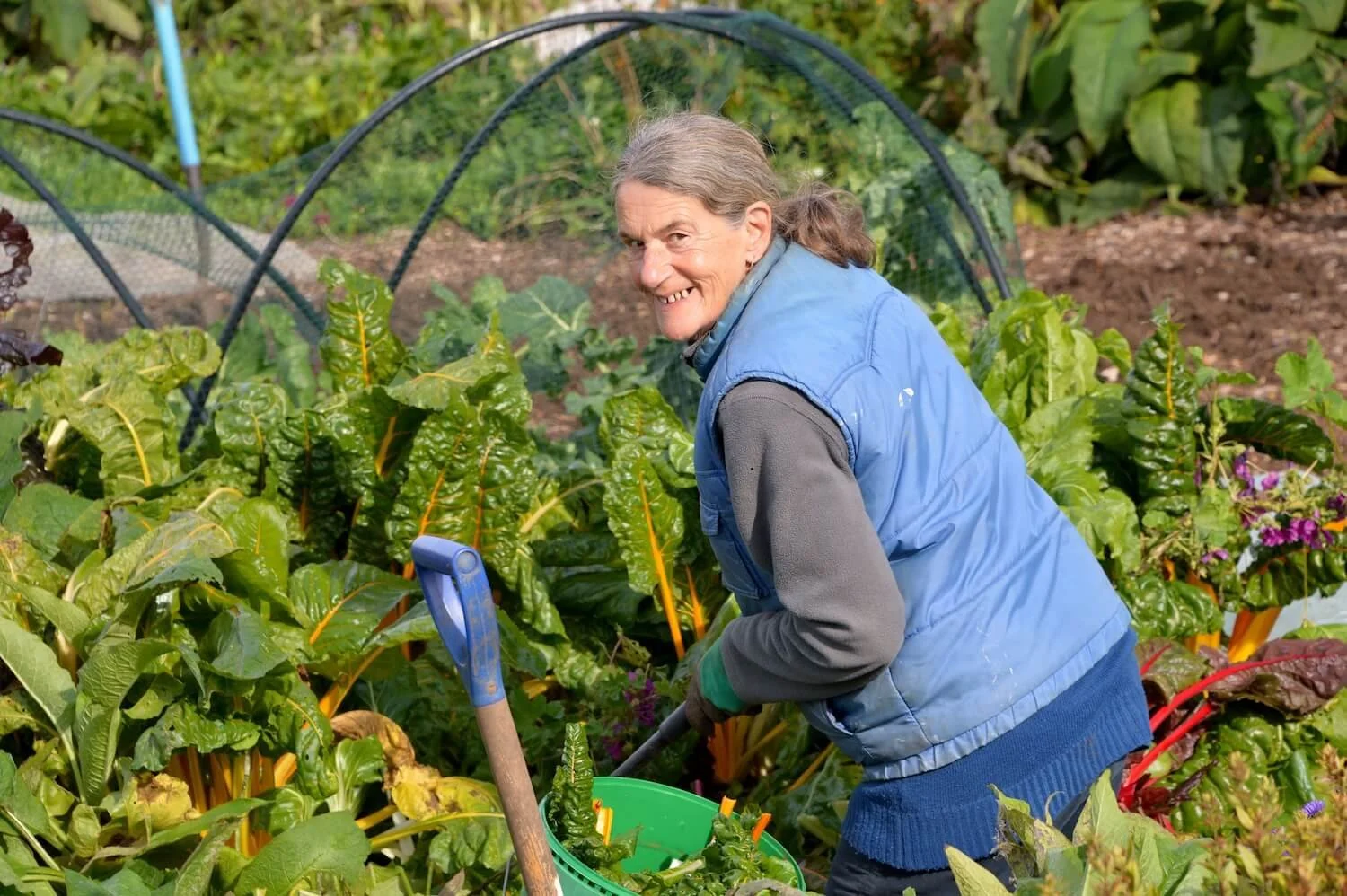 Step Outside Gardening Group 24.jpg