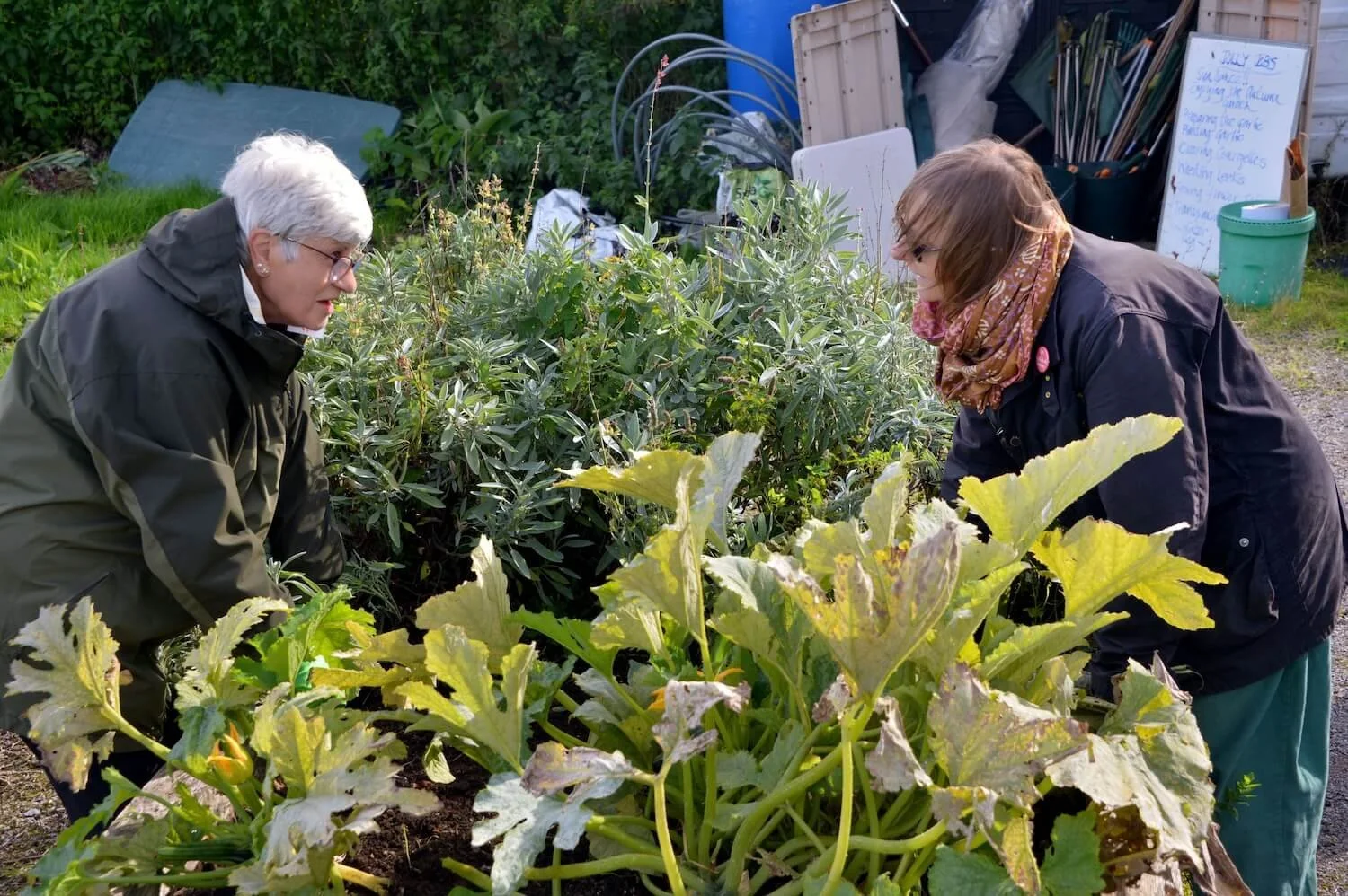 Step Outside Gardening Group 25.jpg