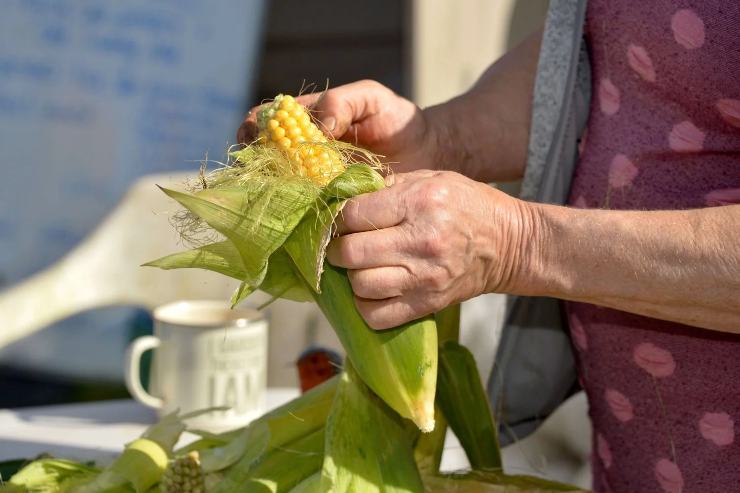 Step Outside Gardening Group 27.jpg
