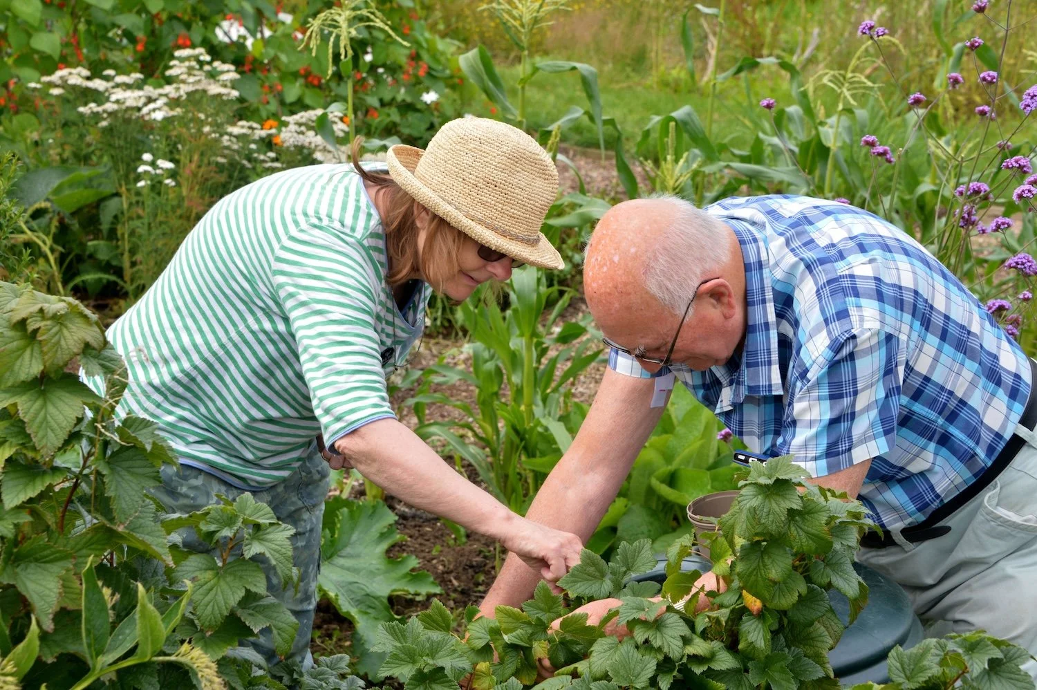 Step Outside Gardening Group.jpg