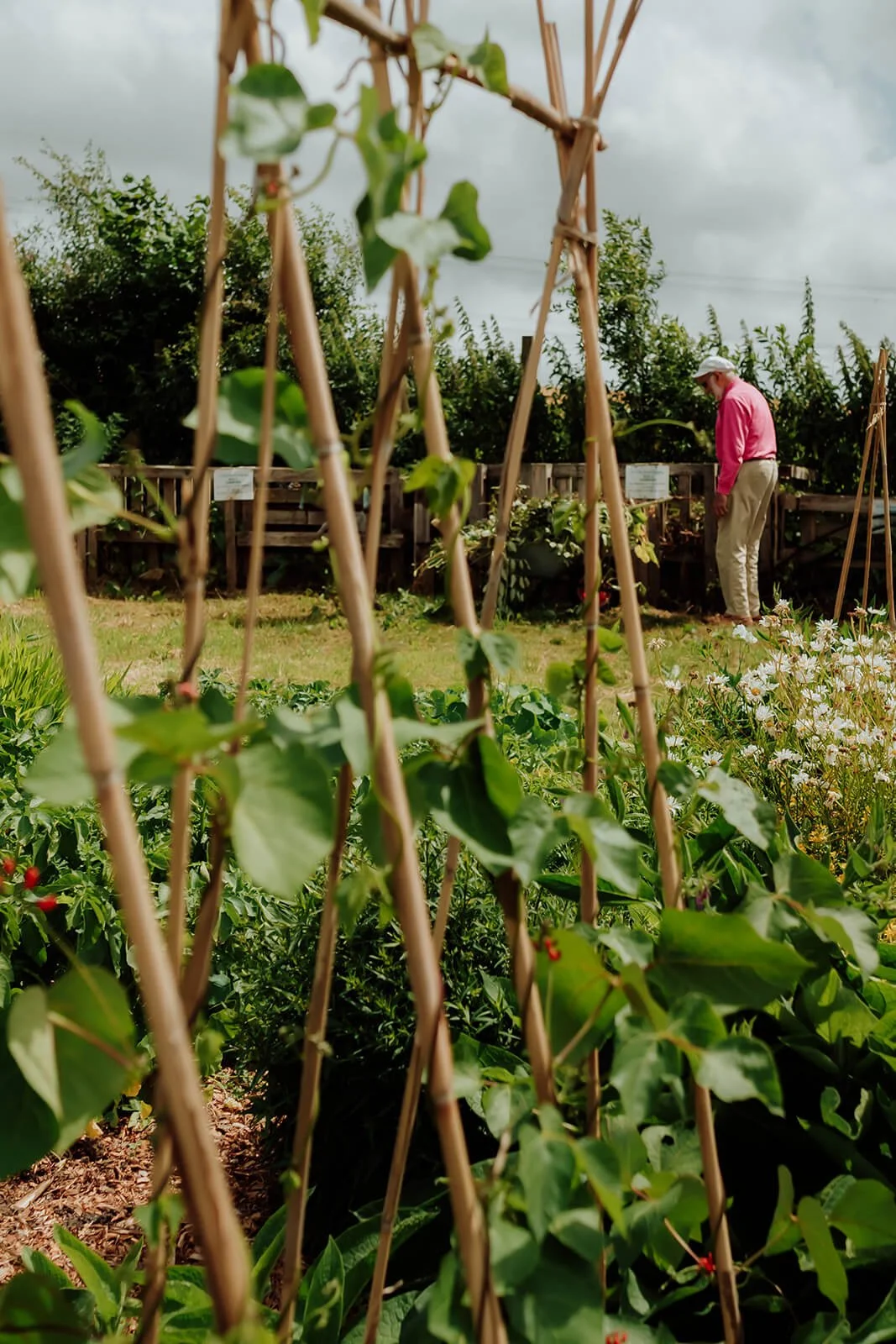 Step Outside Gardening Group - In Jolly Good Company - 14.jpg