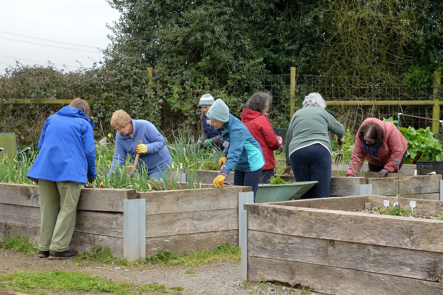 Step Outside Gardening Group - In Jolly Good Company 7.jpg