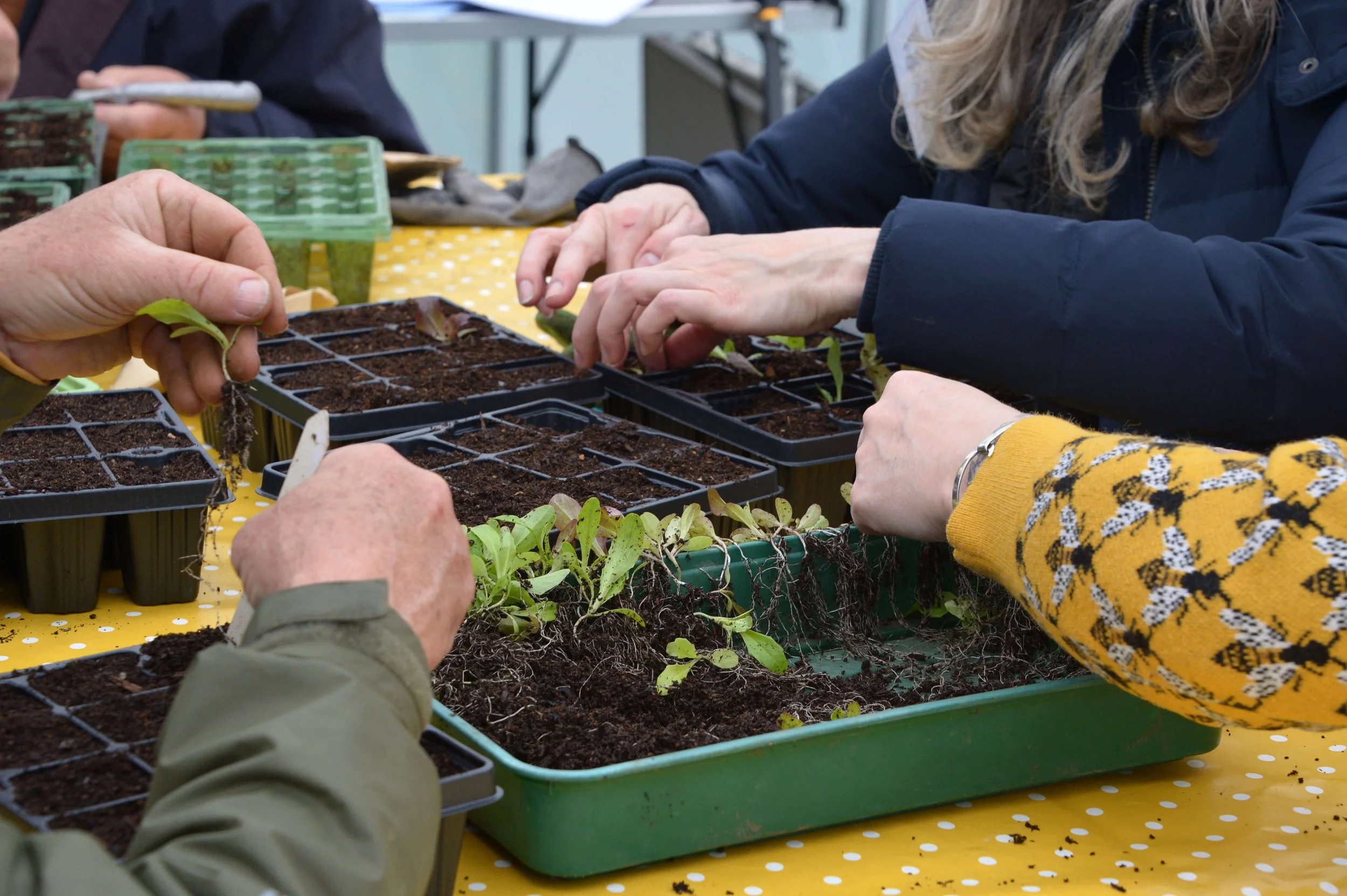 Step Outside Gardening Group - In Jolly Good Company 10.jpg