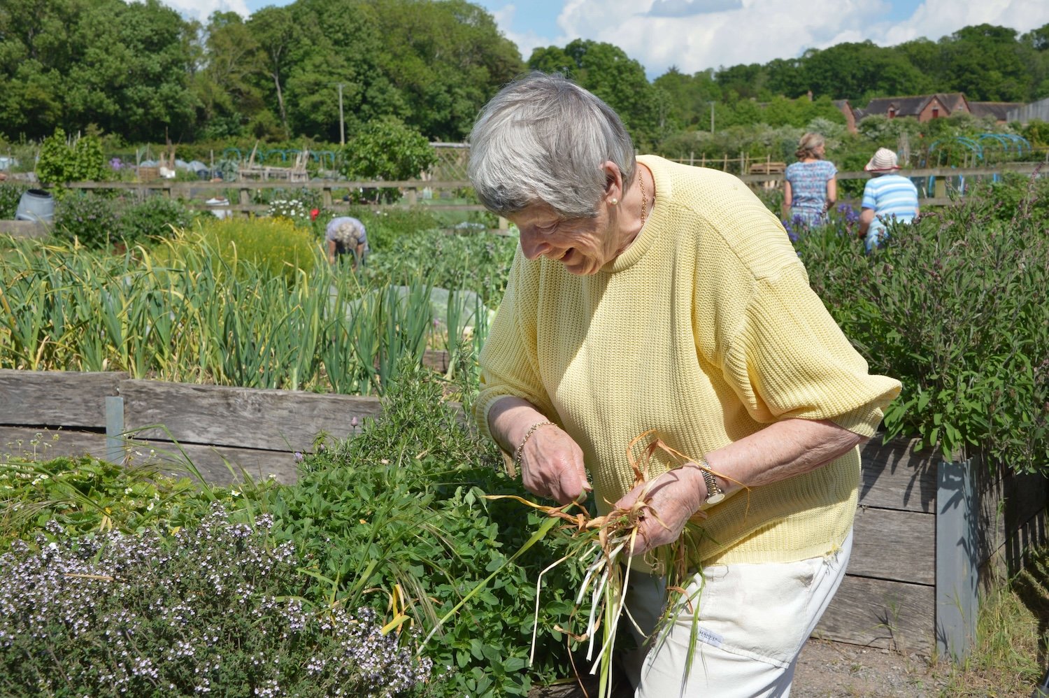 Step Outside Gardening Group - In Jolly Good Company 5.jpg