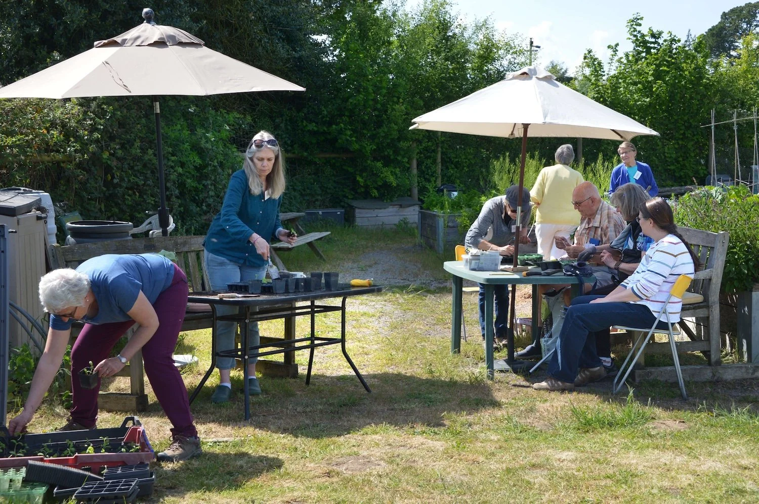 Step Outside Gardening Group - In Jolly Good Company 9.jpg