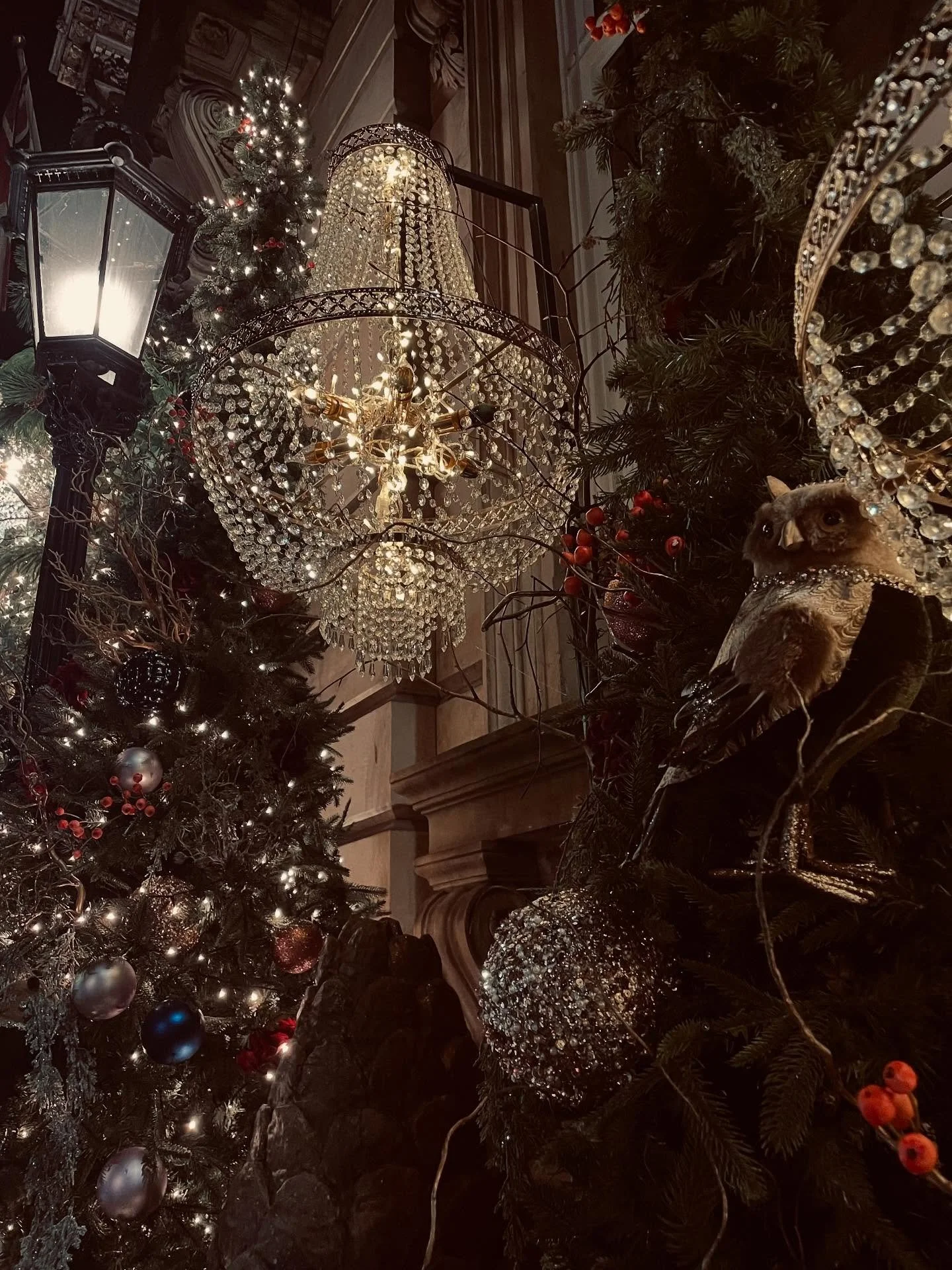 I have to say, it&rsquo;s quite hard writing The Book Of The Summer: Season 2  in the middle of November surrounded by Christmas decorations. But hey, every book is a challenge! 

It&rsquo;s still a little early for me, but I did enjoy walking around
