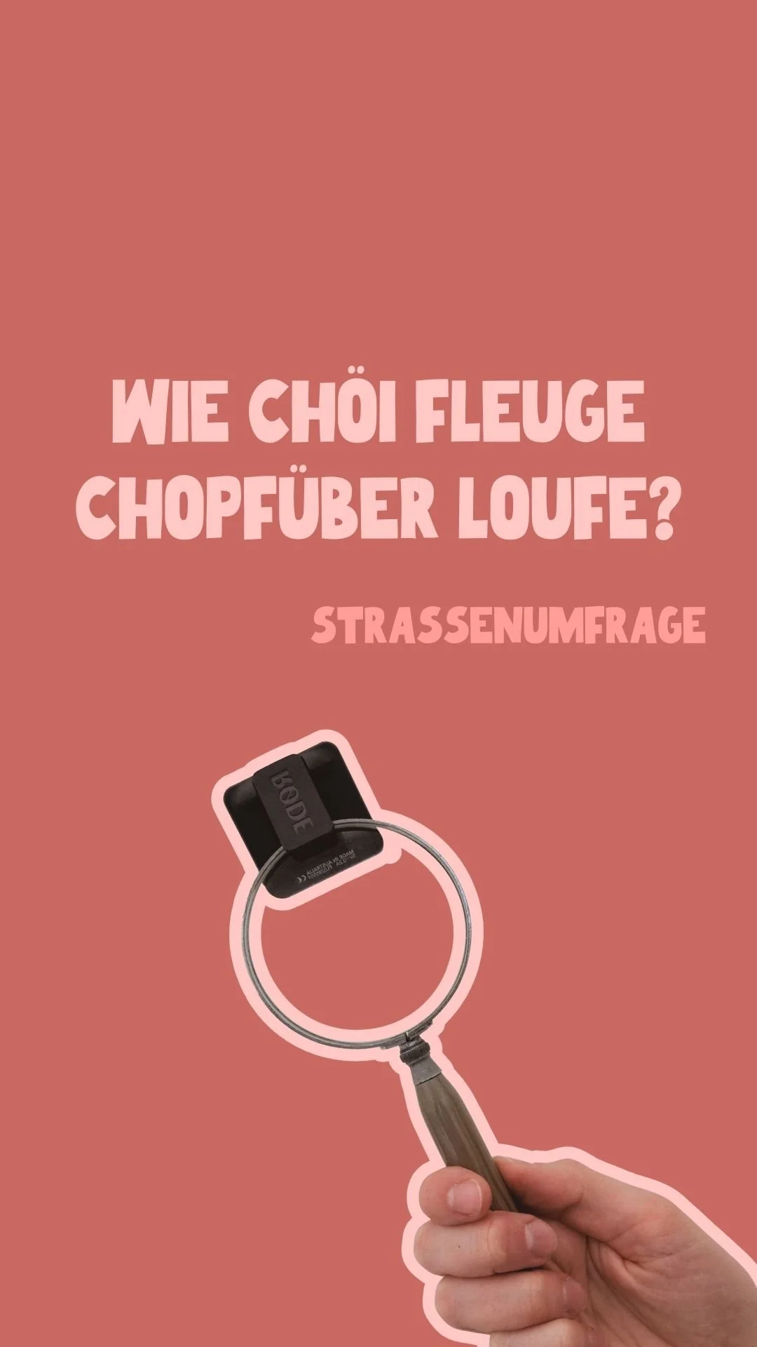 S6 Thumbnail Fliege.jpg