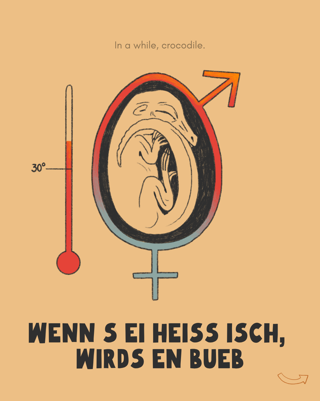 Wenn s Ei heiss isch, wirds en Bueb.png