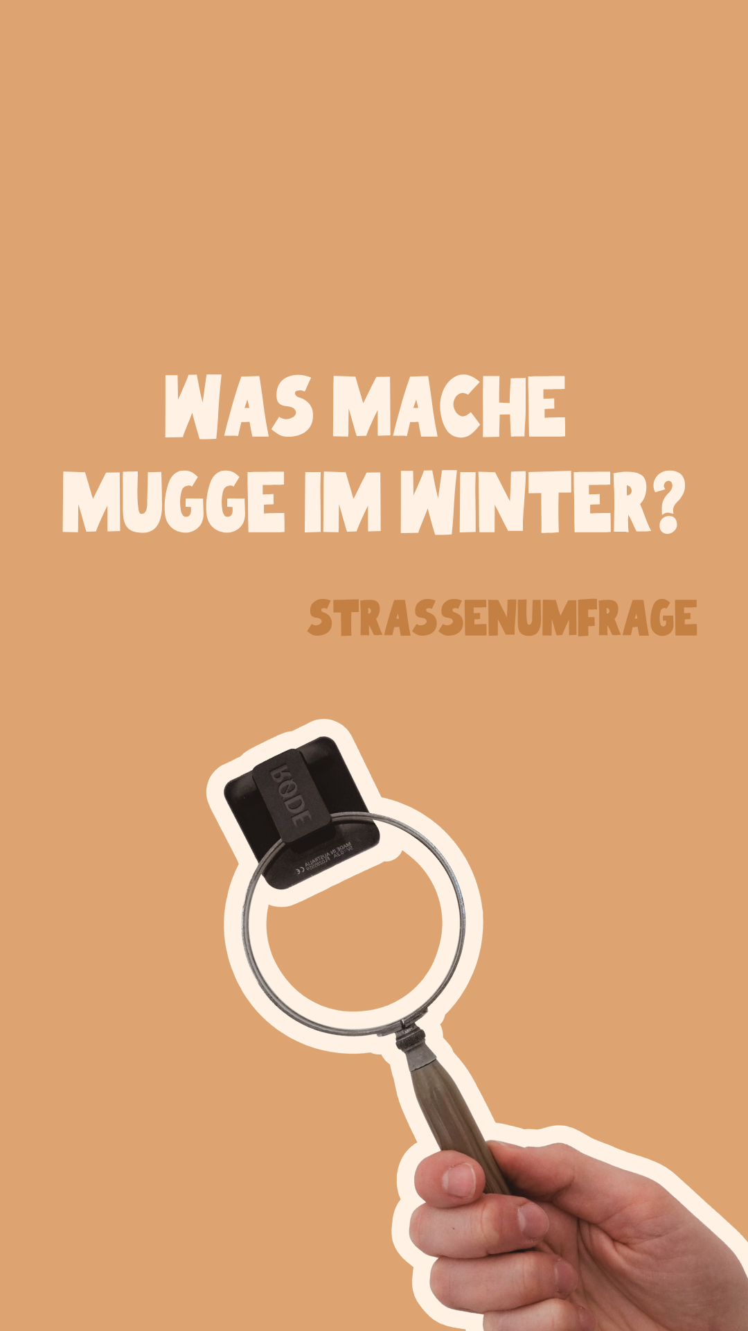 Strassenumfragen (1).png