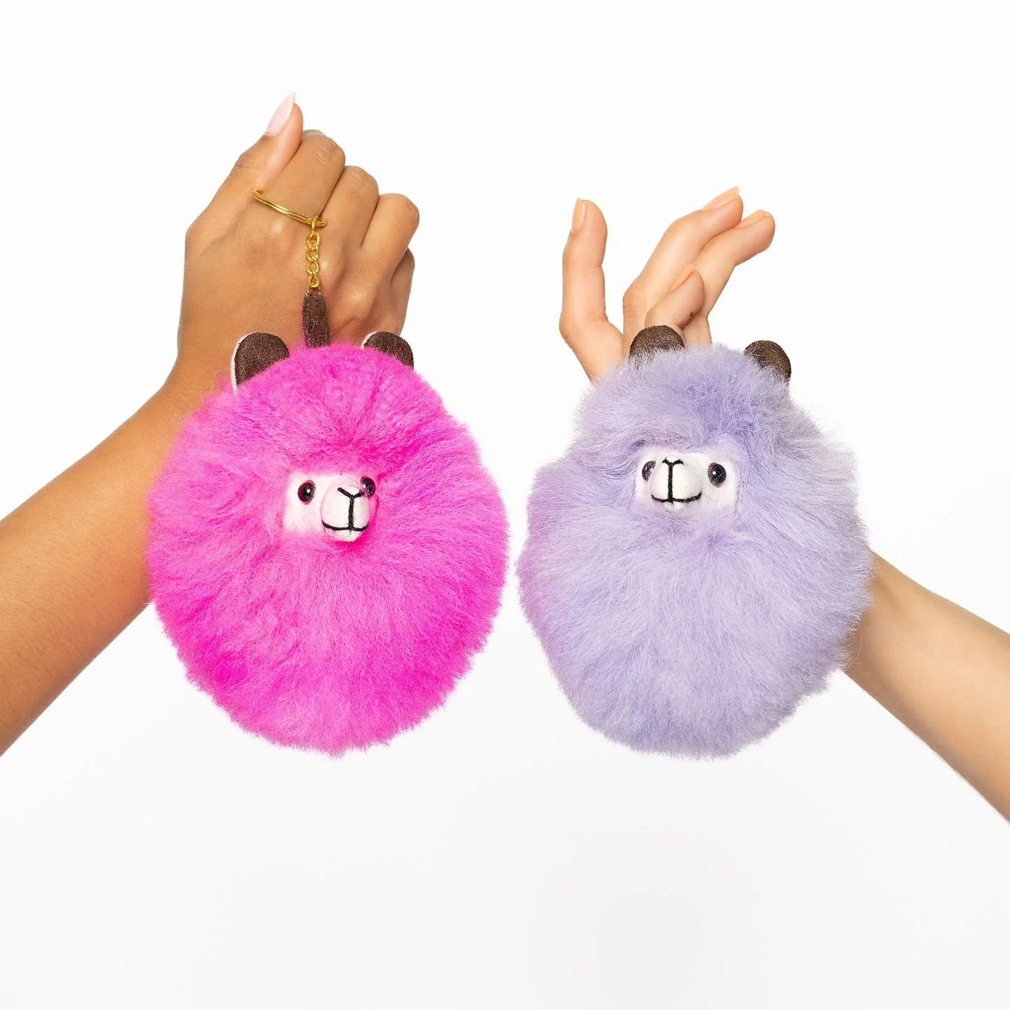 @alpacalinks
📸 Photographer: @jhony_hpozo

#sonyalpha #sonya7riv #sony #productphotography
#dundeephotographer