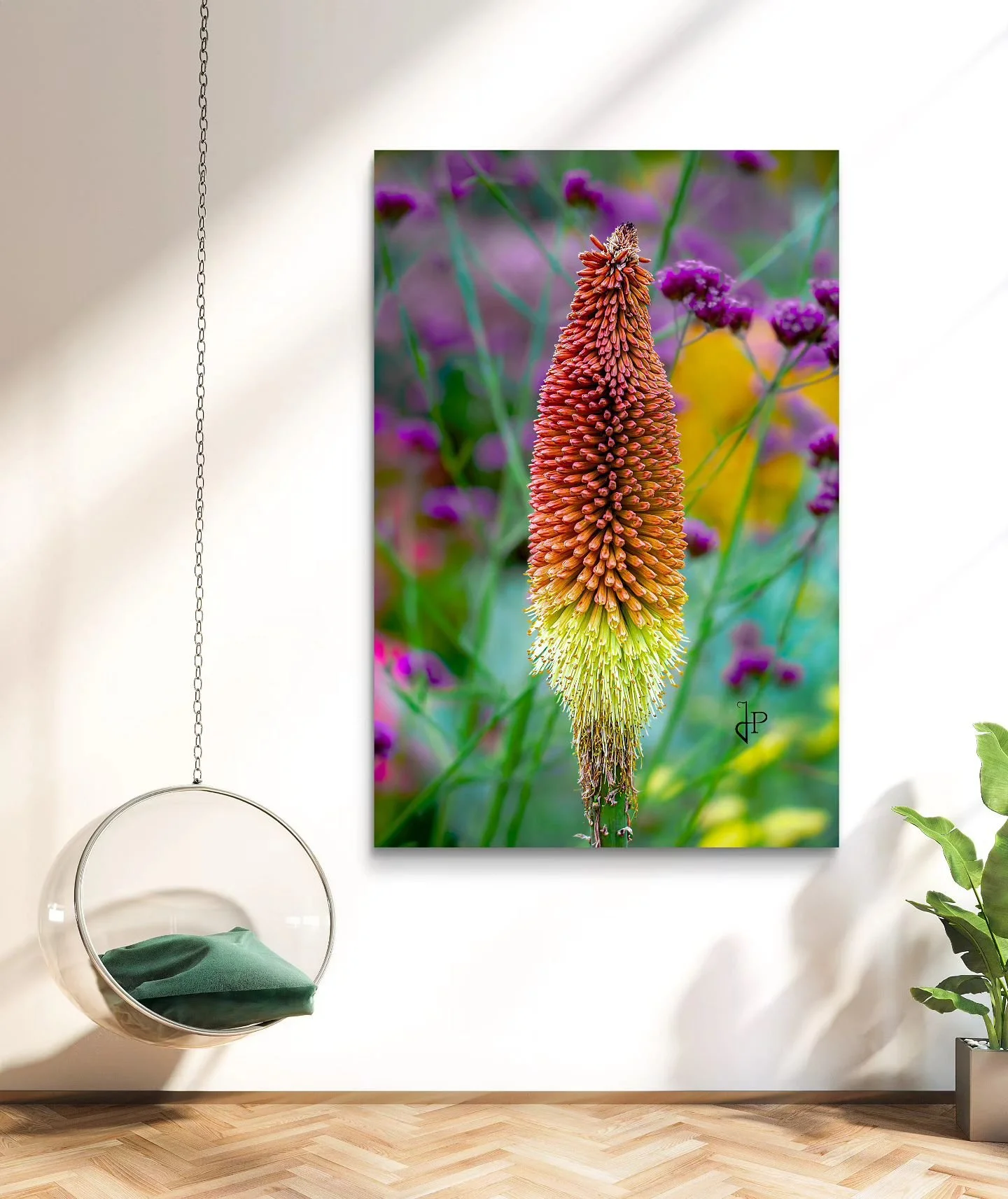 #photography #plantphotography #sony #sonya7riv #sonyalpha