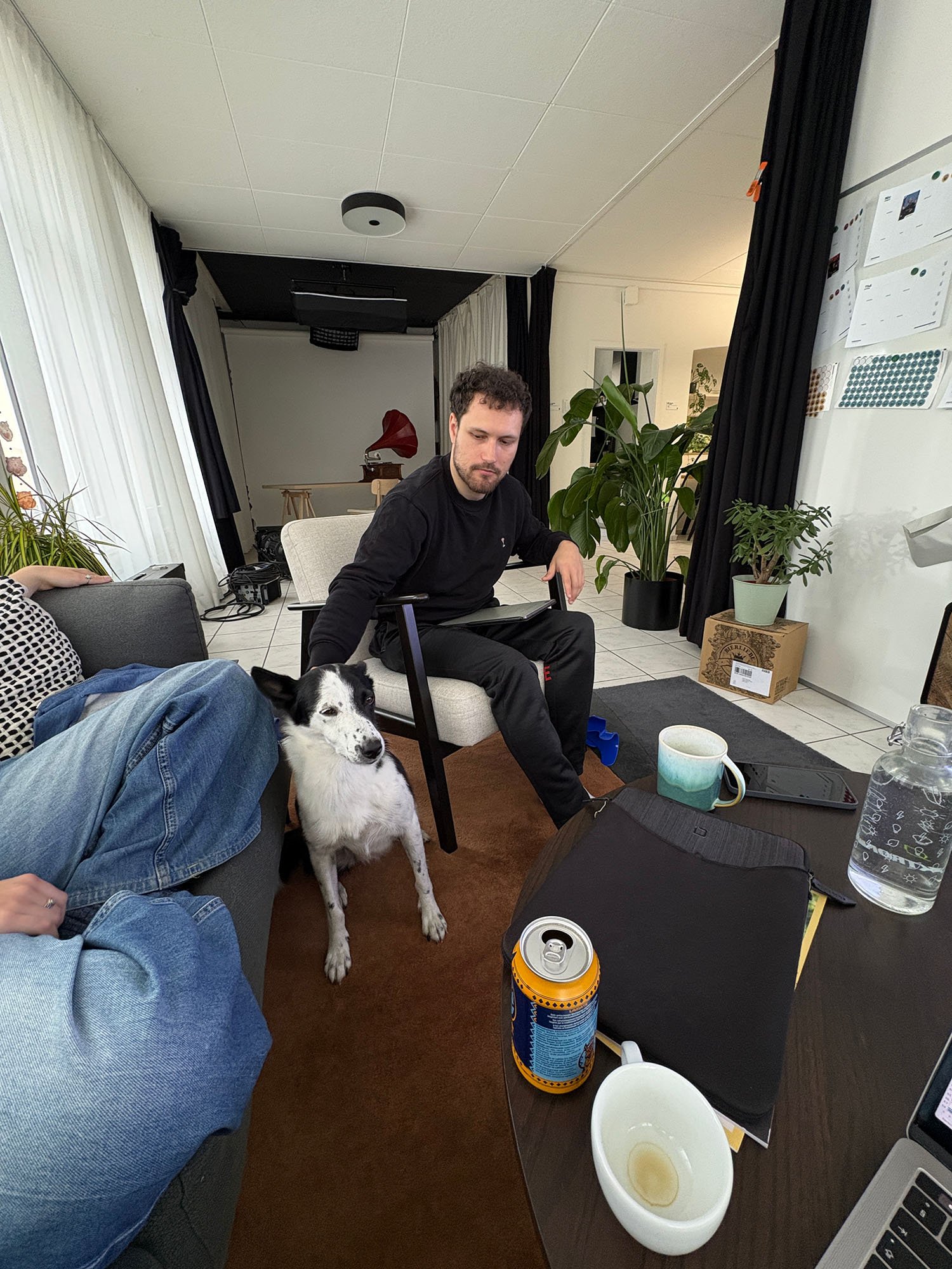 20260521_Bürohund1.jpg