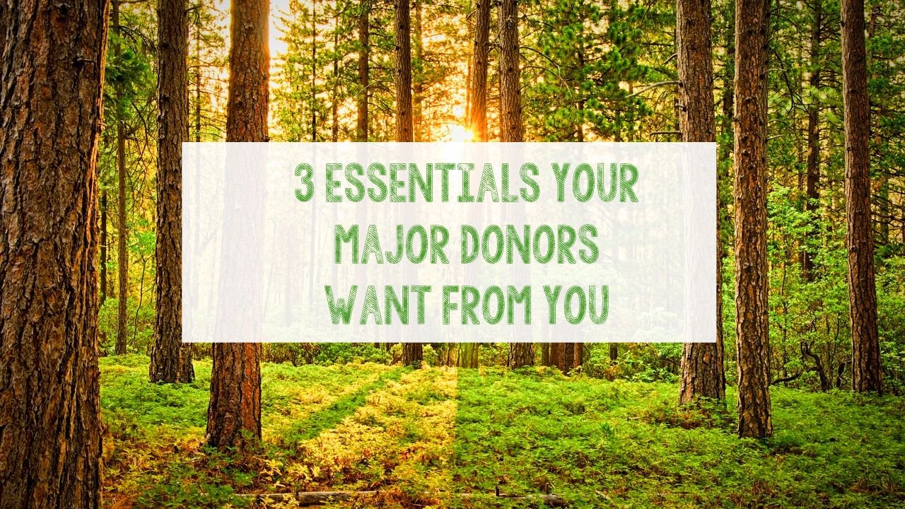 3 essentials your major donors want from you