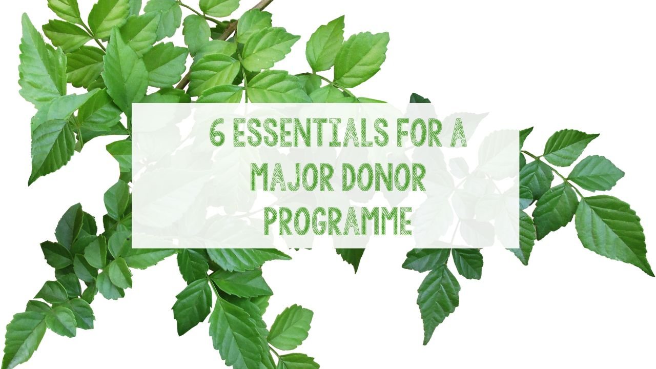 6 essentials for a major donor programme